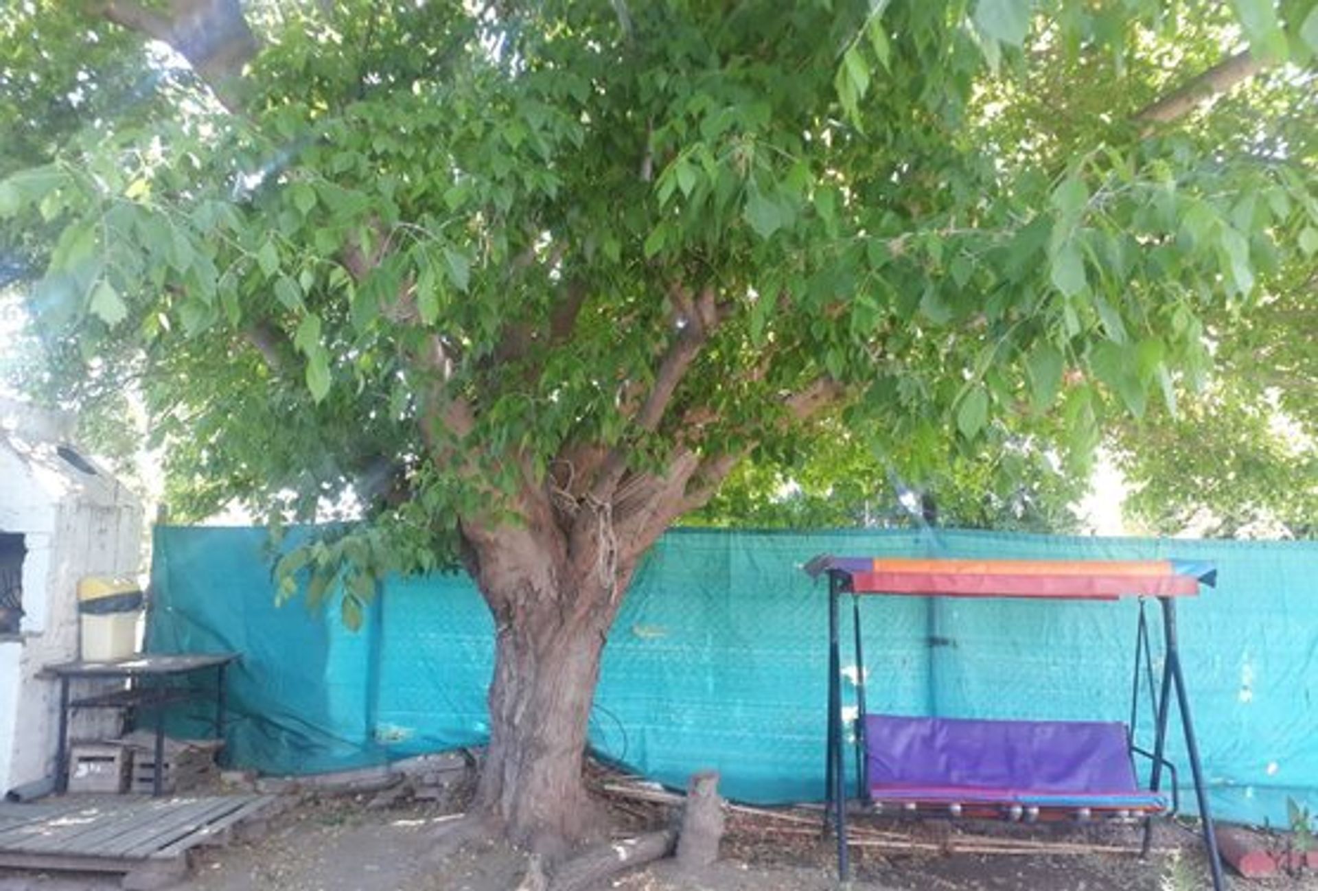 Casa en Alquiler en Maipu, Mendoza