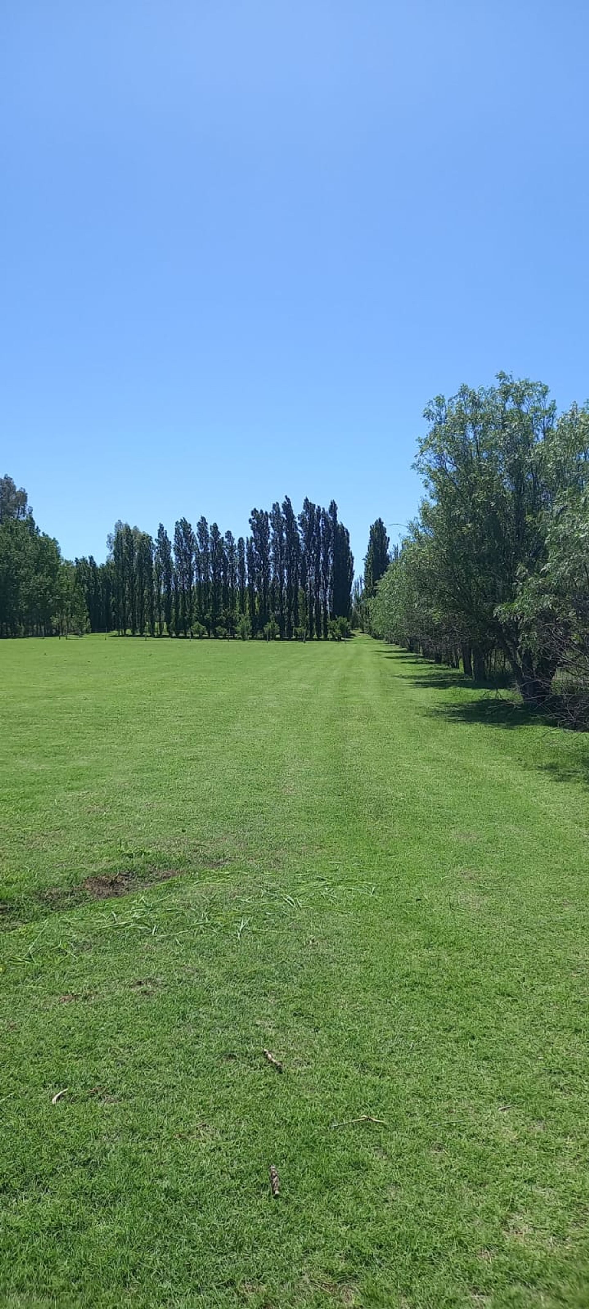 Casa en Venta en San Rafael, Mendoza