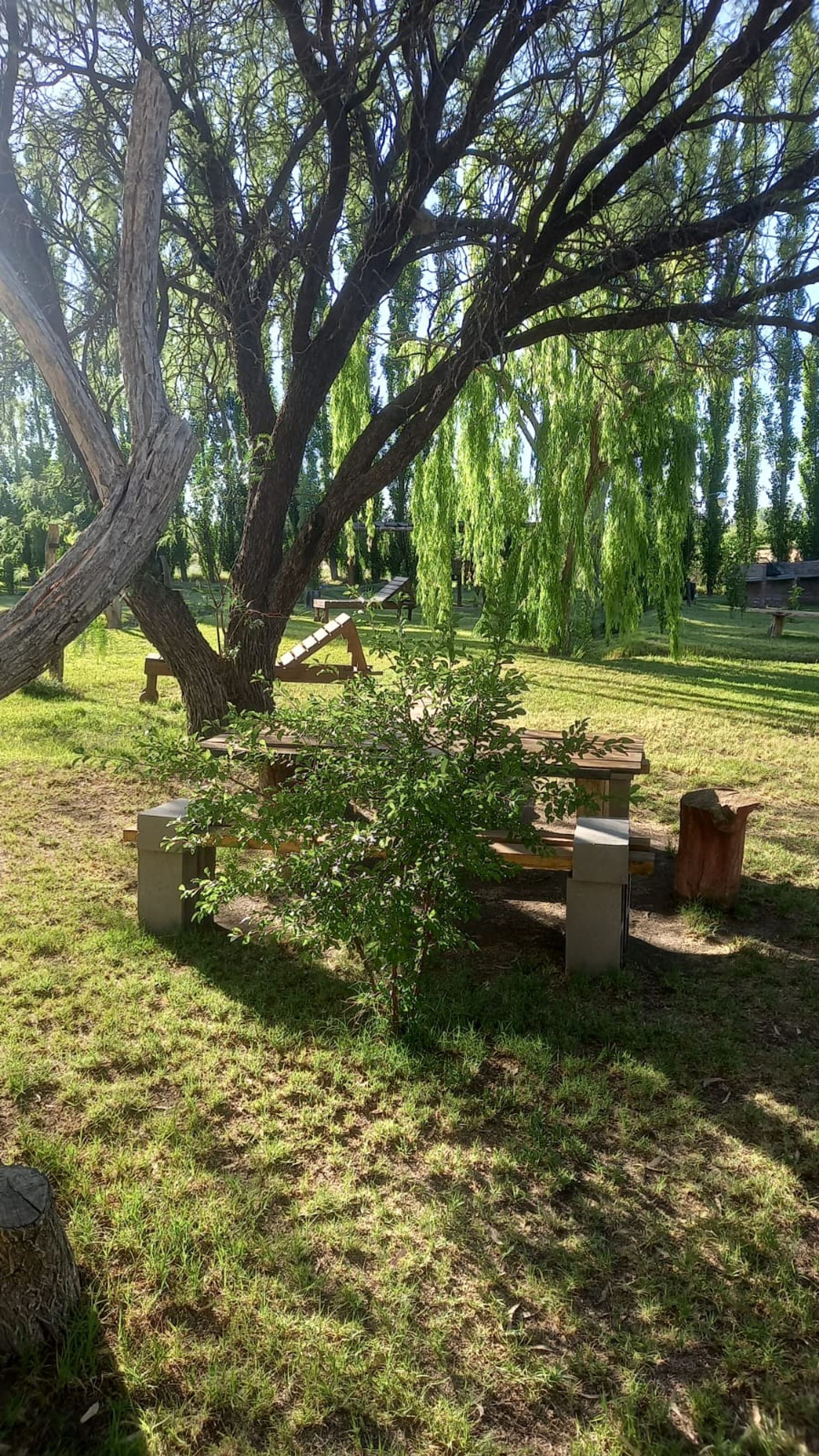 Casa en Venta en San Rafael, Mendoza