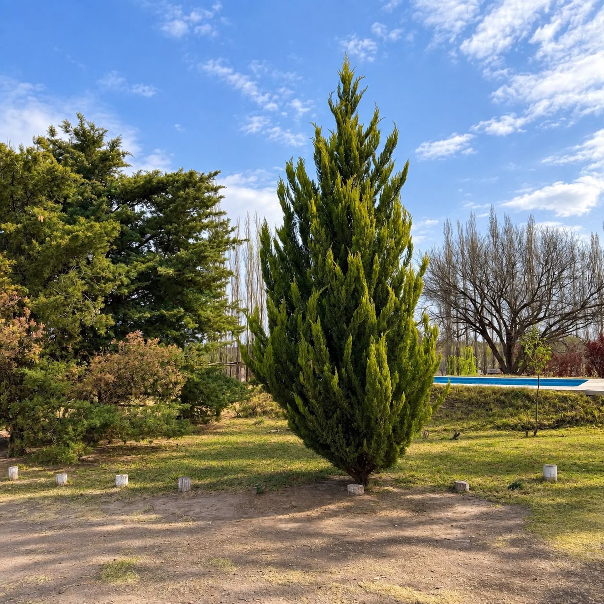 Casa en Venta en San Rafael, Mendoza