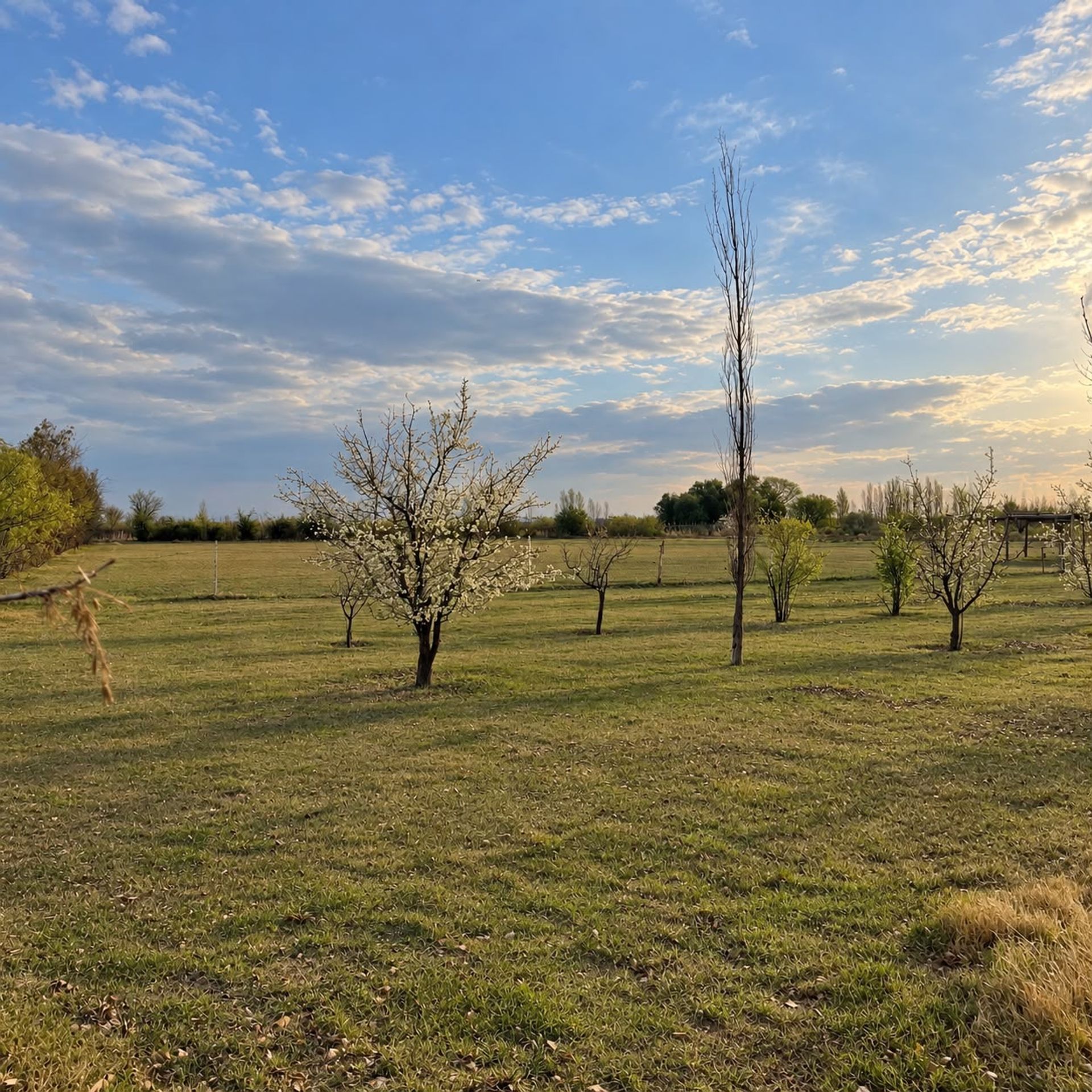 Casa en Venta en San Rafael, Mendoza