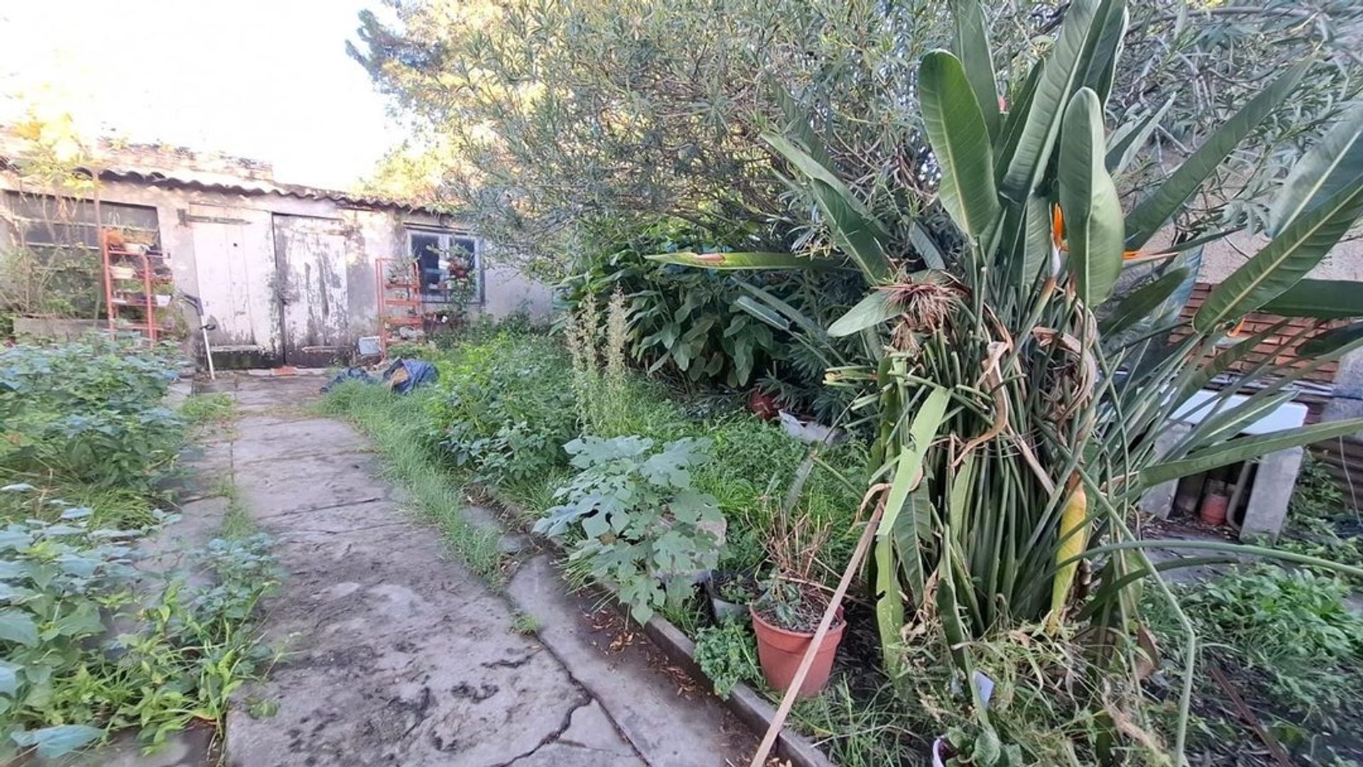 Casa en Venta en Tres de Febrero, G.B.A. Zona Oeste