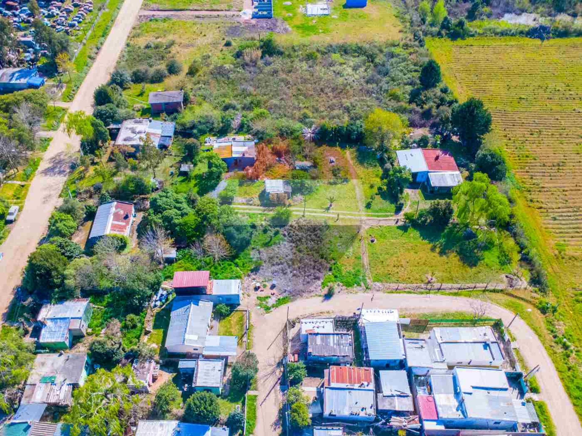 Venta de 4 casas en 5.005 m² en Barros Blancos - 10