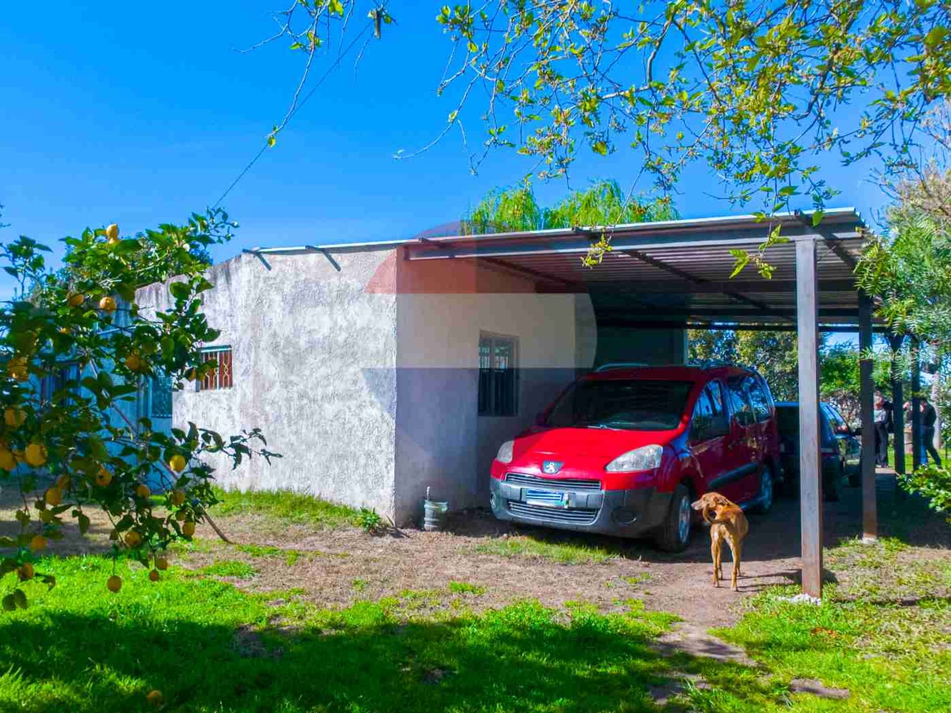Venta de 4 casas en 5.005 m² en Barros Blancos - 2