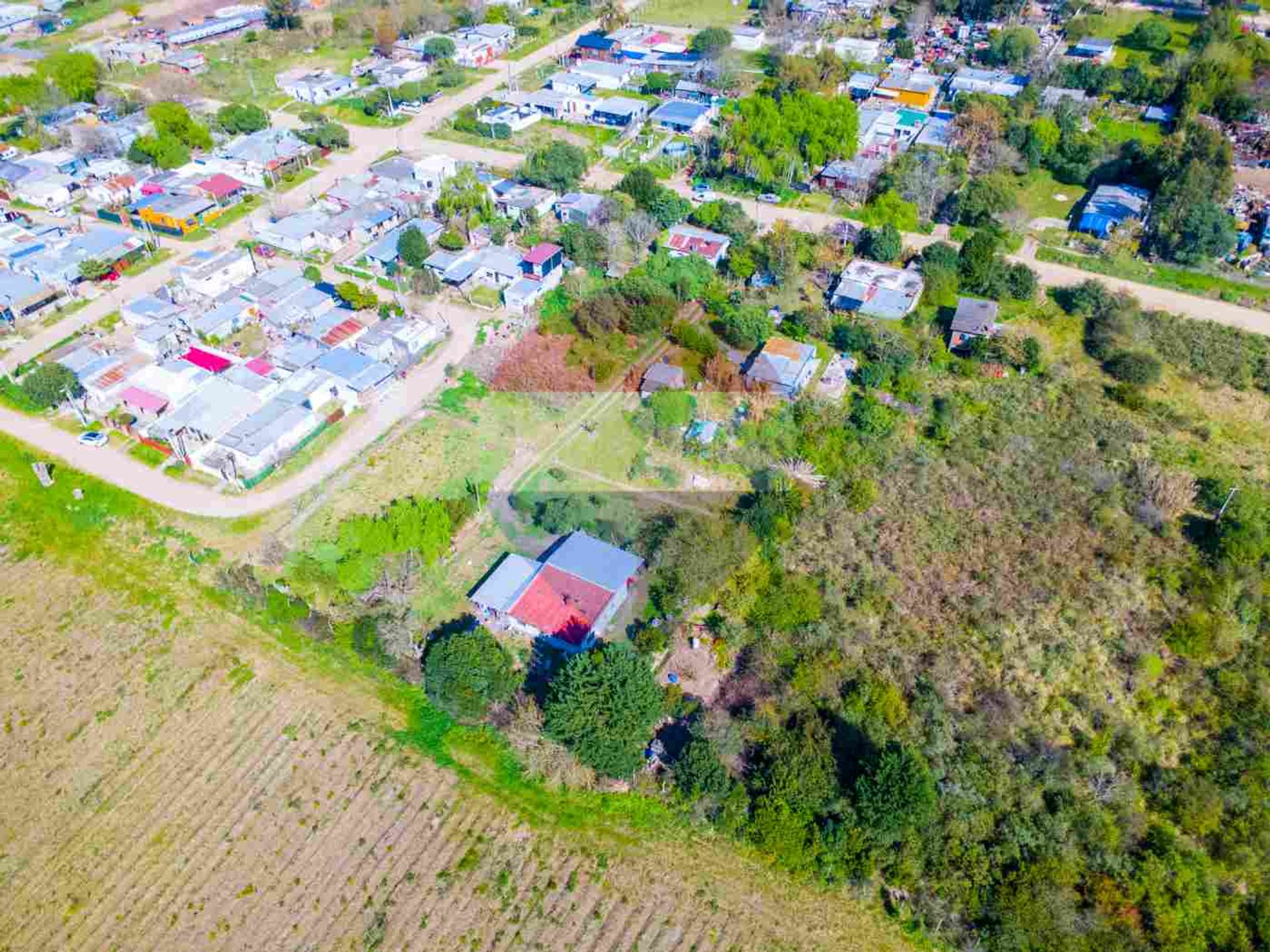 Venta de 4 casas en 5.005 m² en Barros Blancos - 9