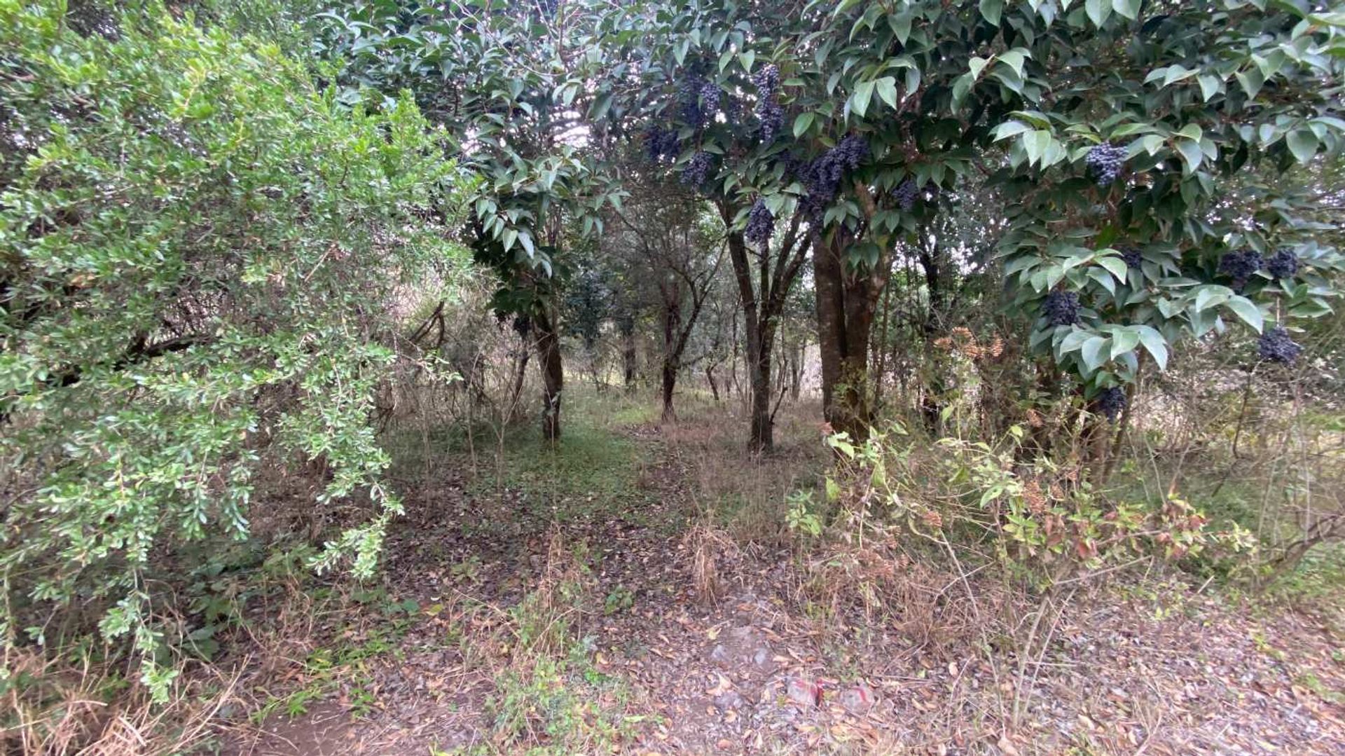 Lote en Venta en Colon, Cordoba