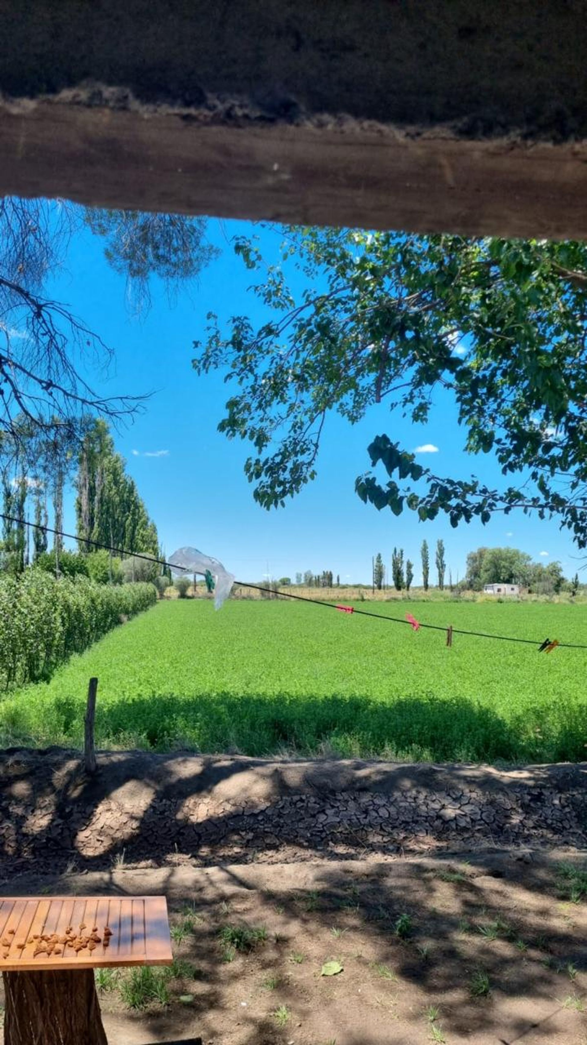 Campo en Venta en General alvear, Mendoza