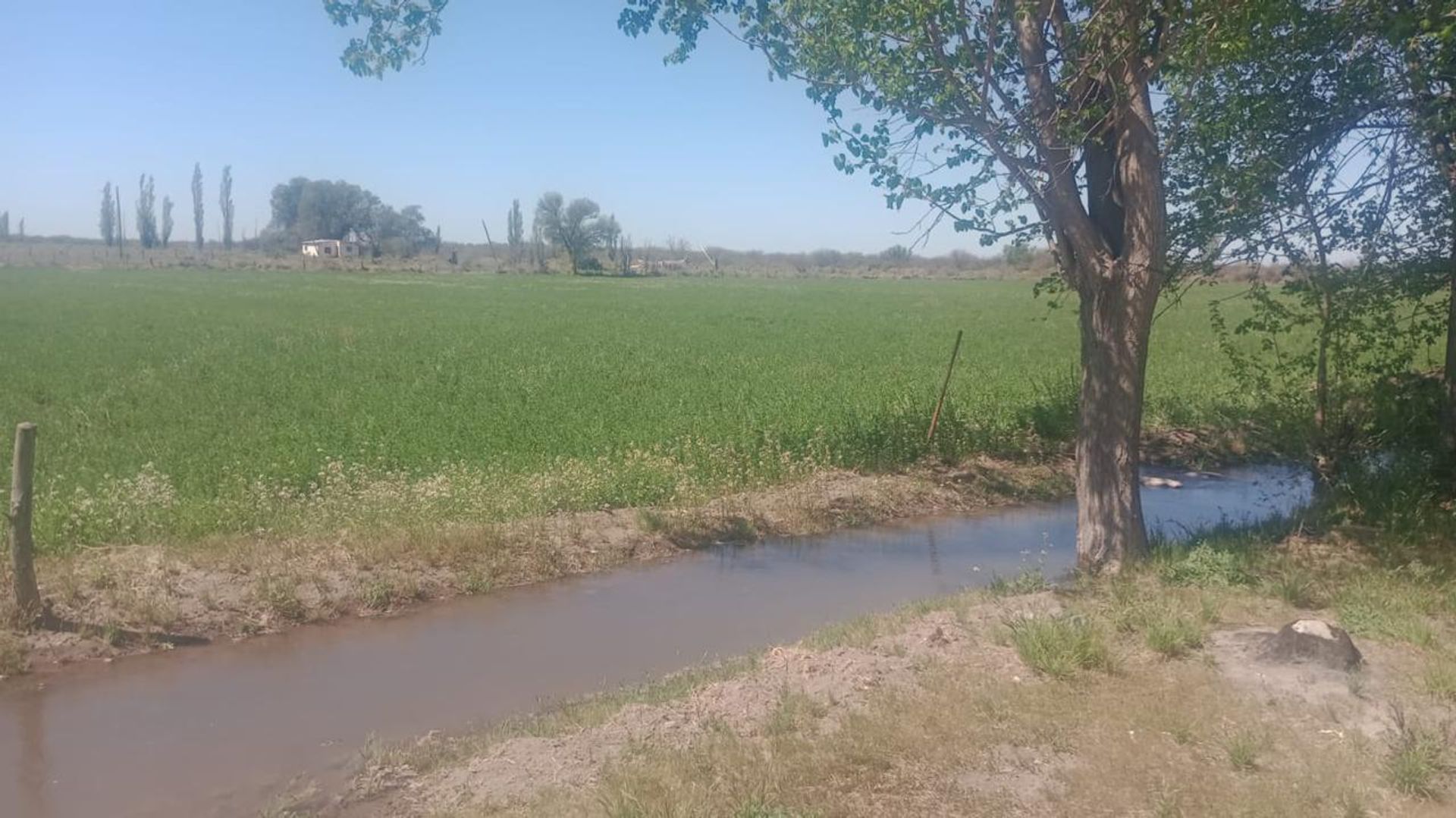 Campo en Venta en General alvear, Mendoza