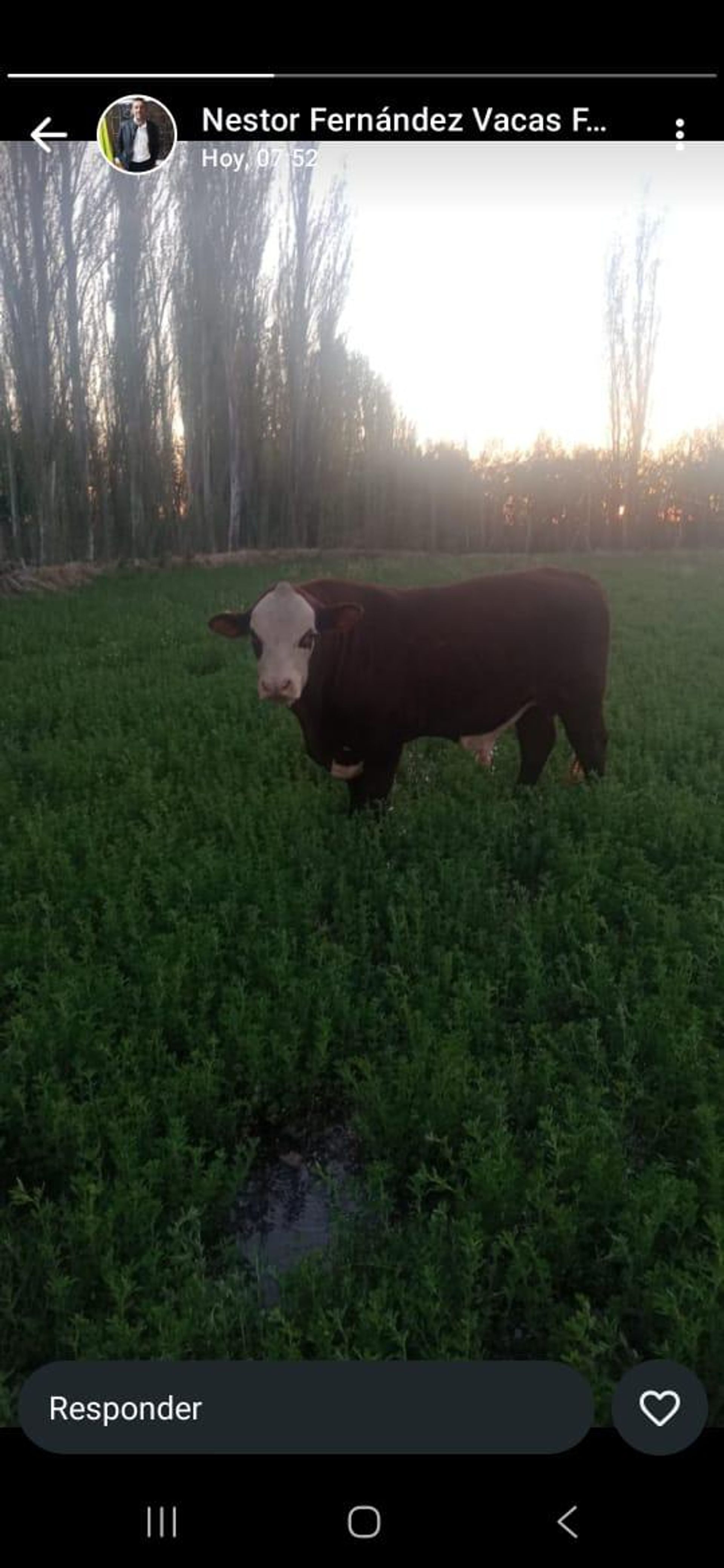 Campo en Venta en General alvear, Mendoza