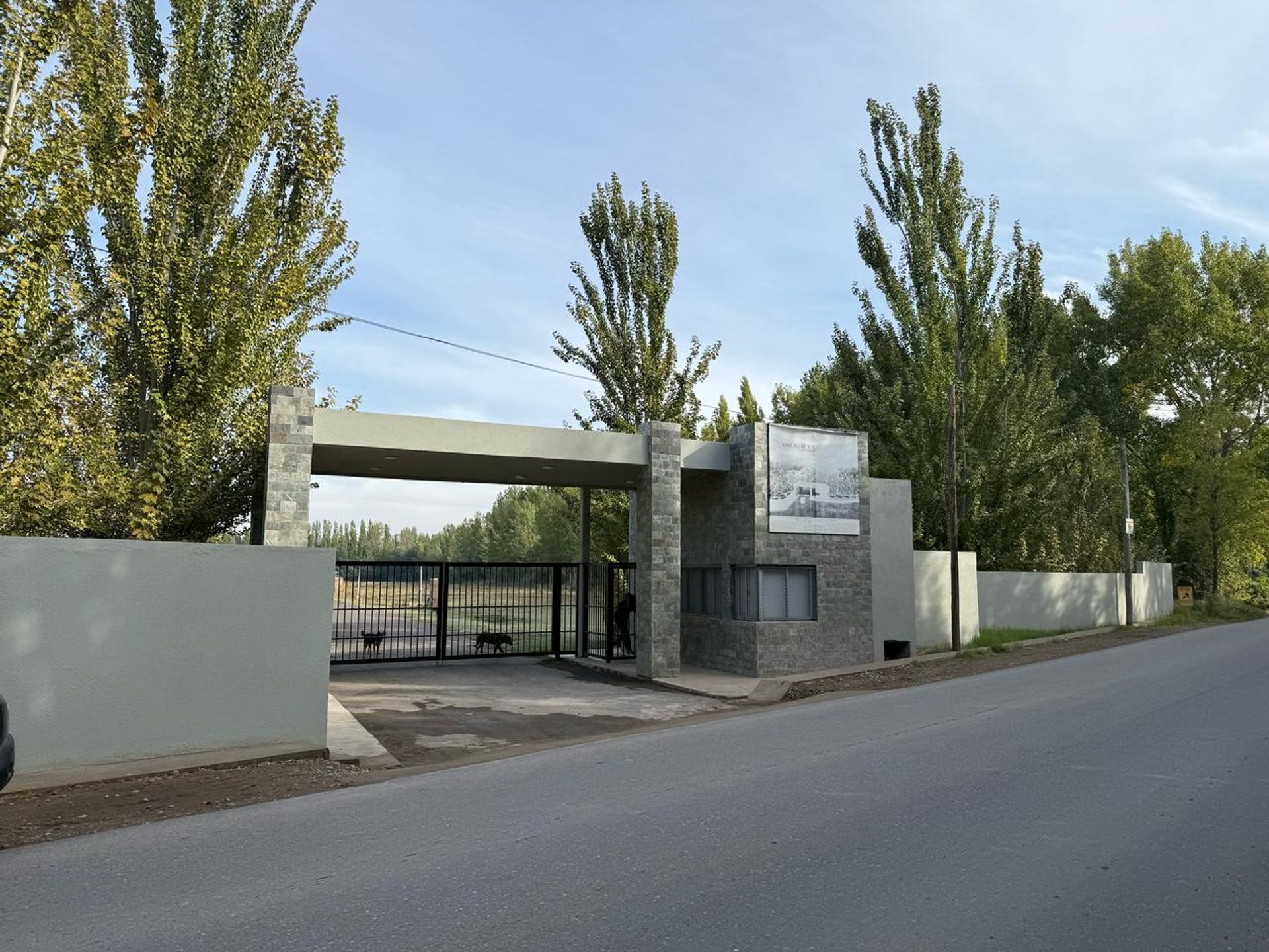 Imagen 2