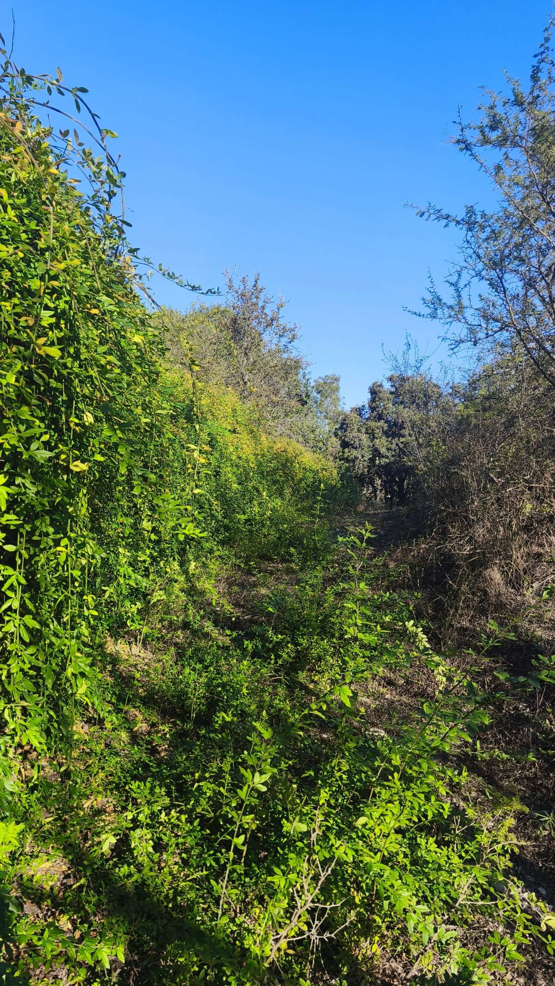 Lote en Venta en Colon, Cordoba