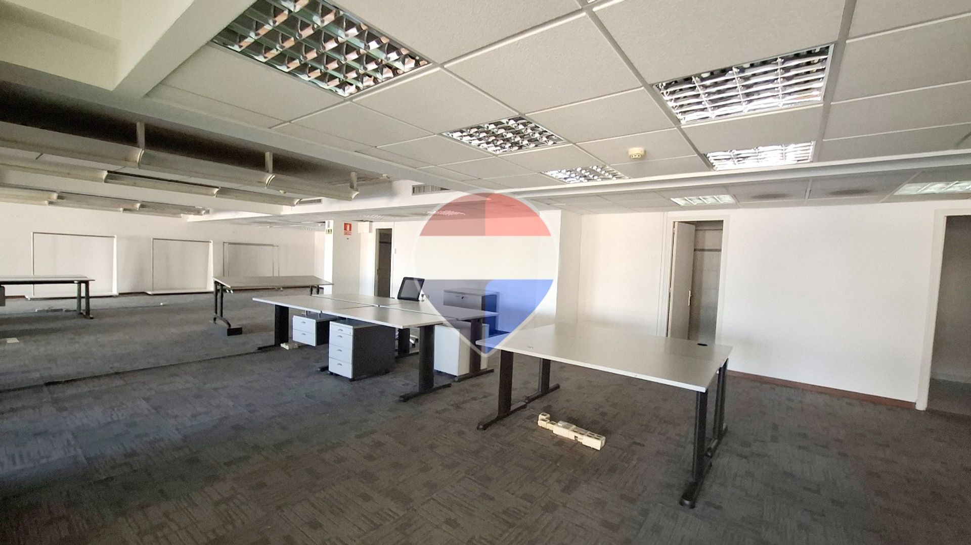 Alquiler Oficina 573 m² | Plaza Independencia - 6