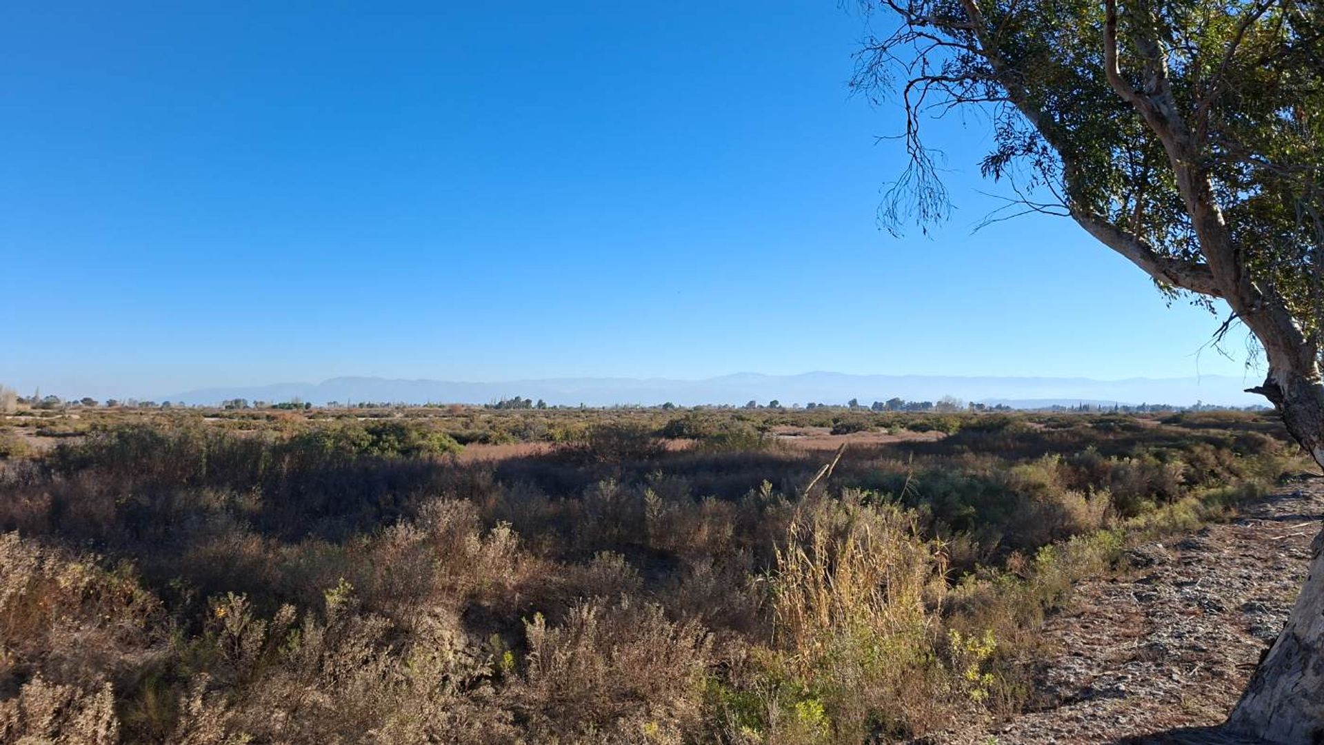 Lote en Venta en Angaco, San Juan