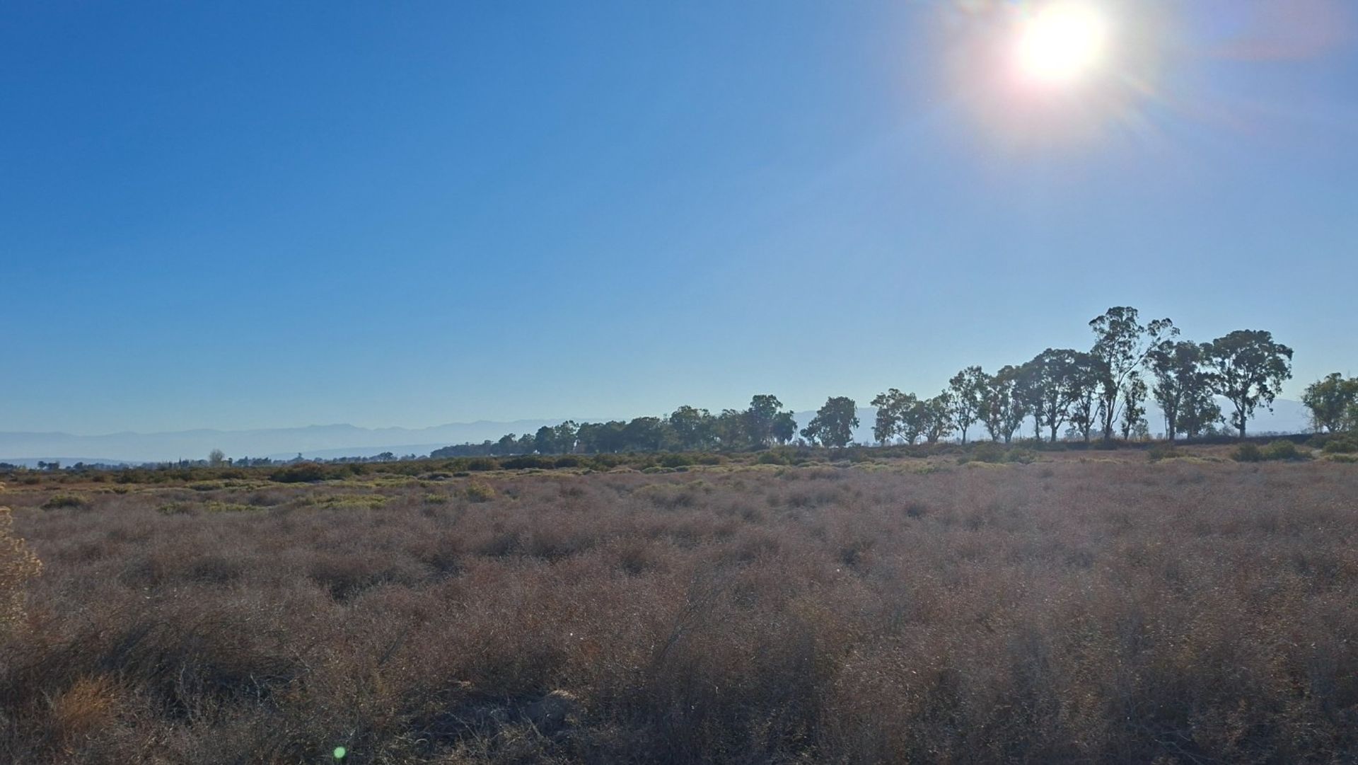 Lote en Venta en Angaco, San Juan