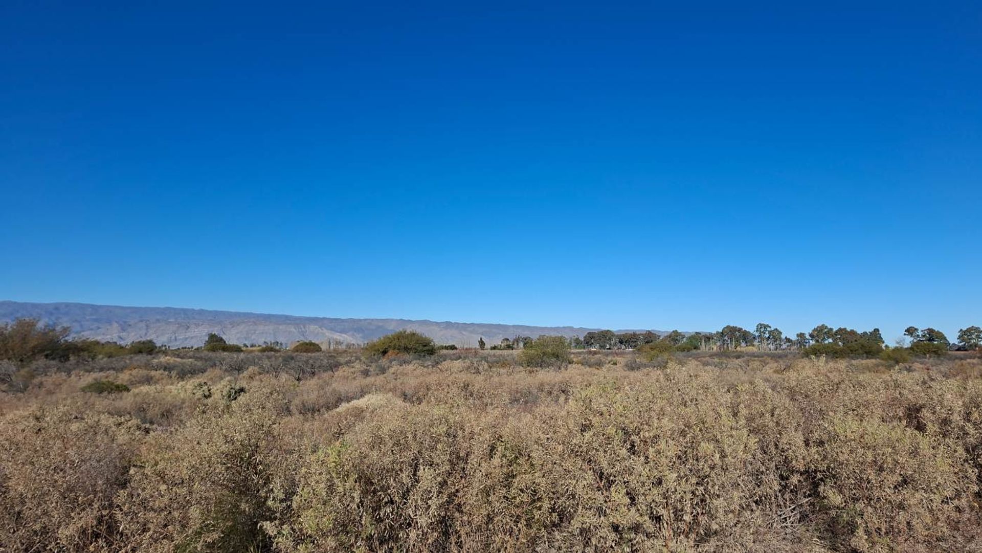 Lote en Venta en Angaco, San Juan