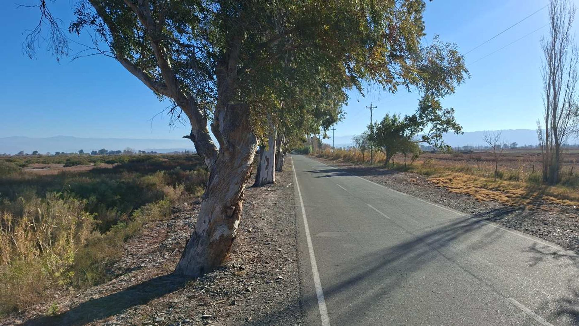 Lote en Venta en Angaco, San Juan