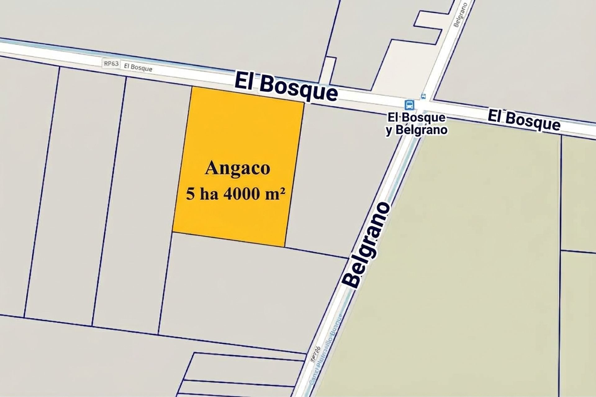 Lote en Venta en Angaco, San Juan