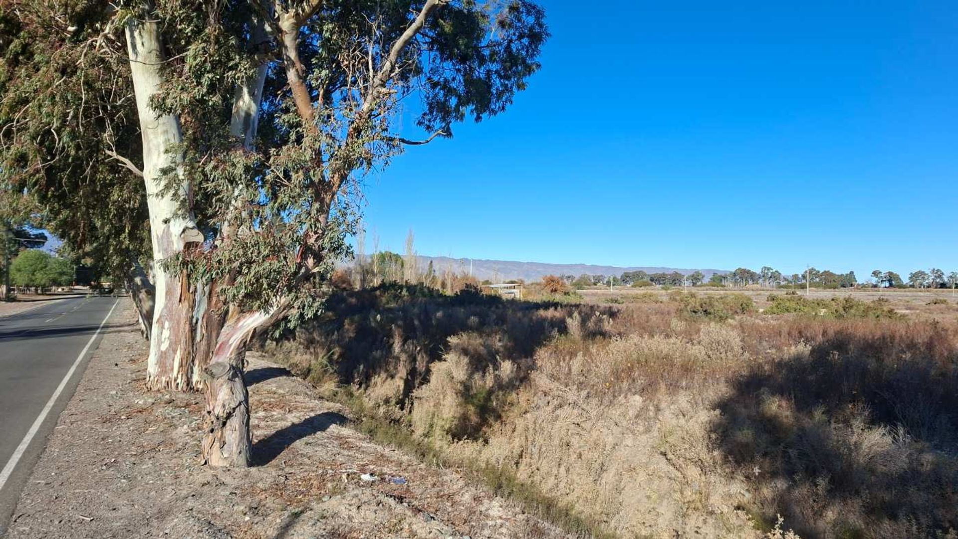 Lote en Venta en Angaco, San Juan