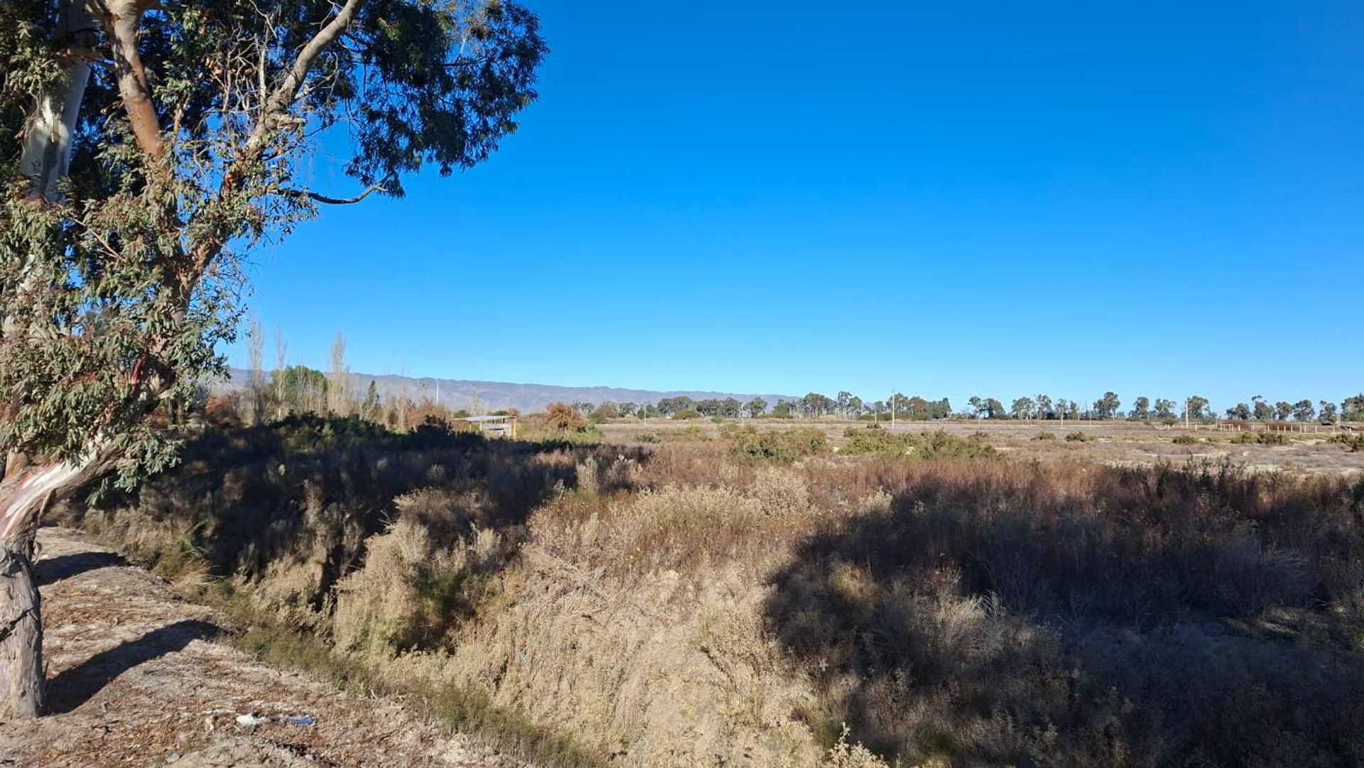 Lote en Venta en Angaco, San Juan