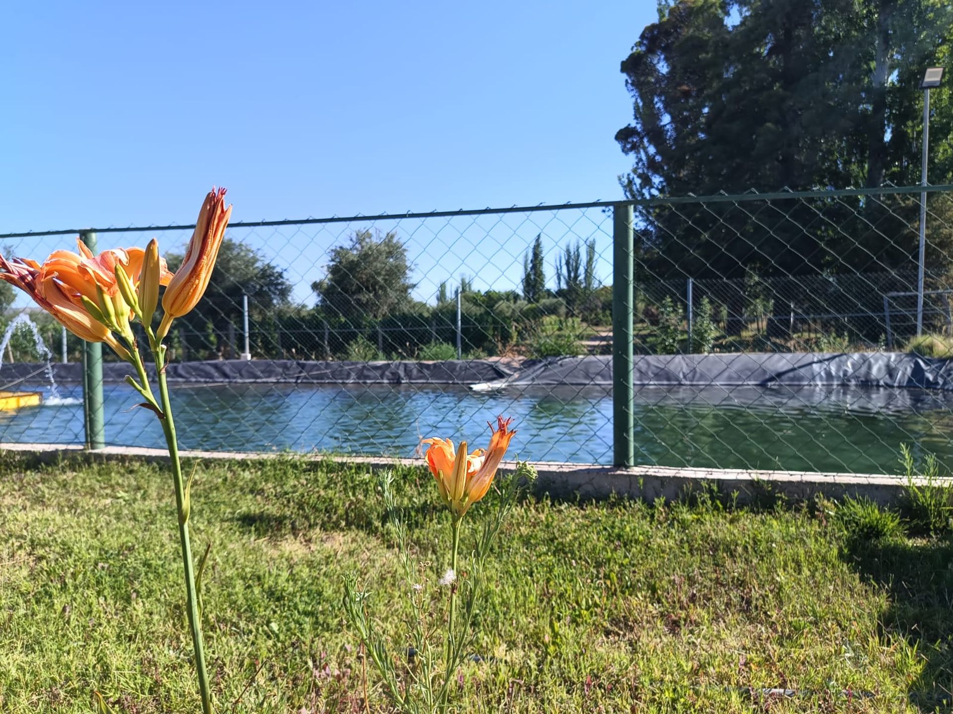 Lote en Venta en Maipu, Mendoza