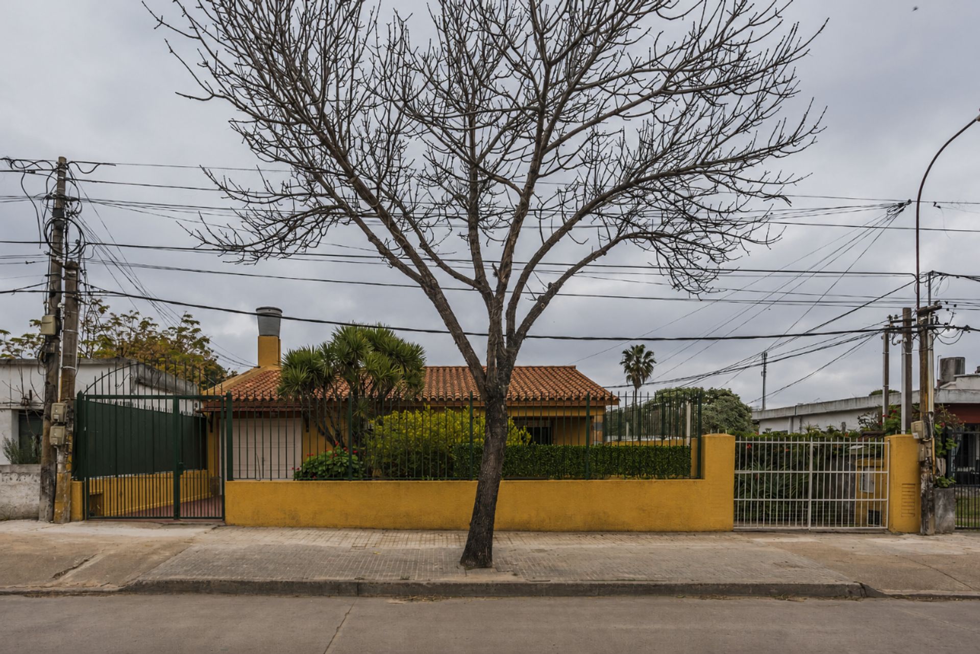 Venta Casa y 2 Apartamentos en gran terreno Malvin - 1