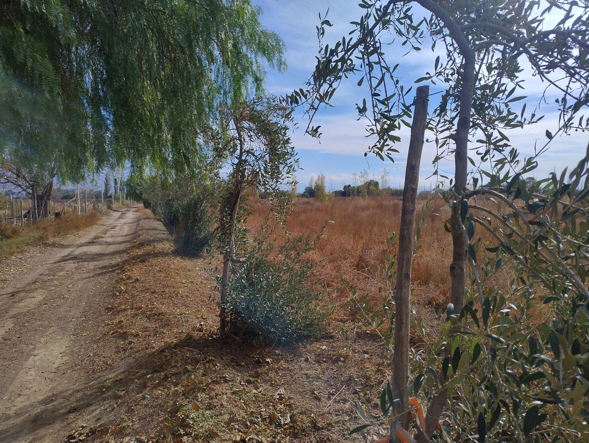 Campo en Venta en Pocito, San Juan