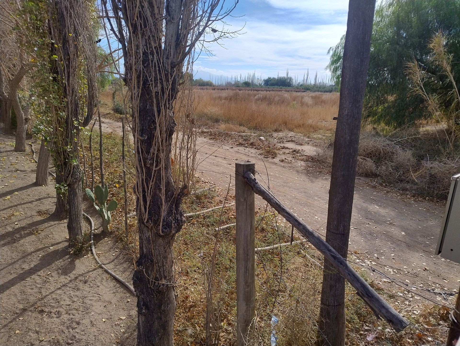 Campo en Venta en Pocito, San Juan