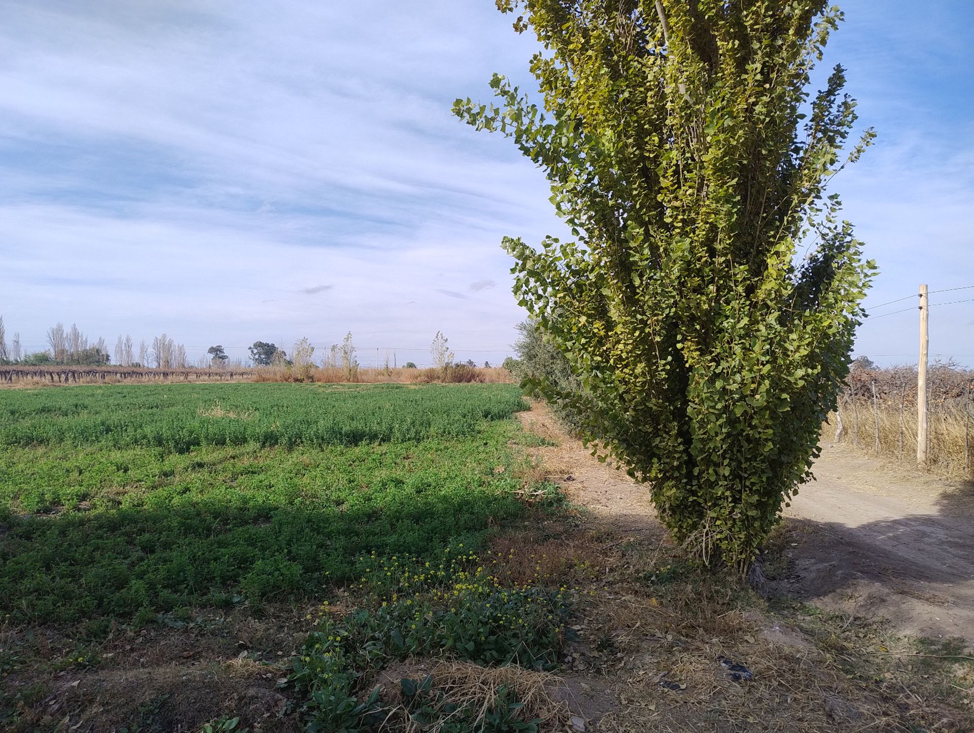 Campo en Venta en Pocito, San Juan