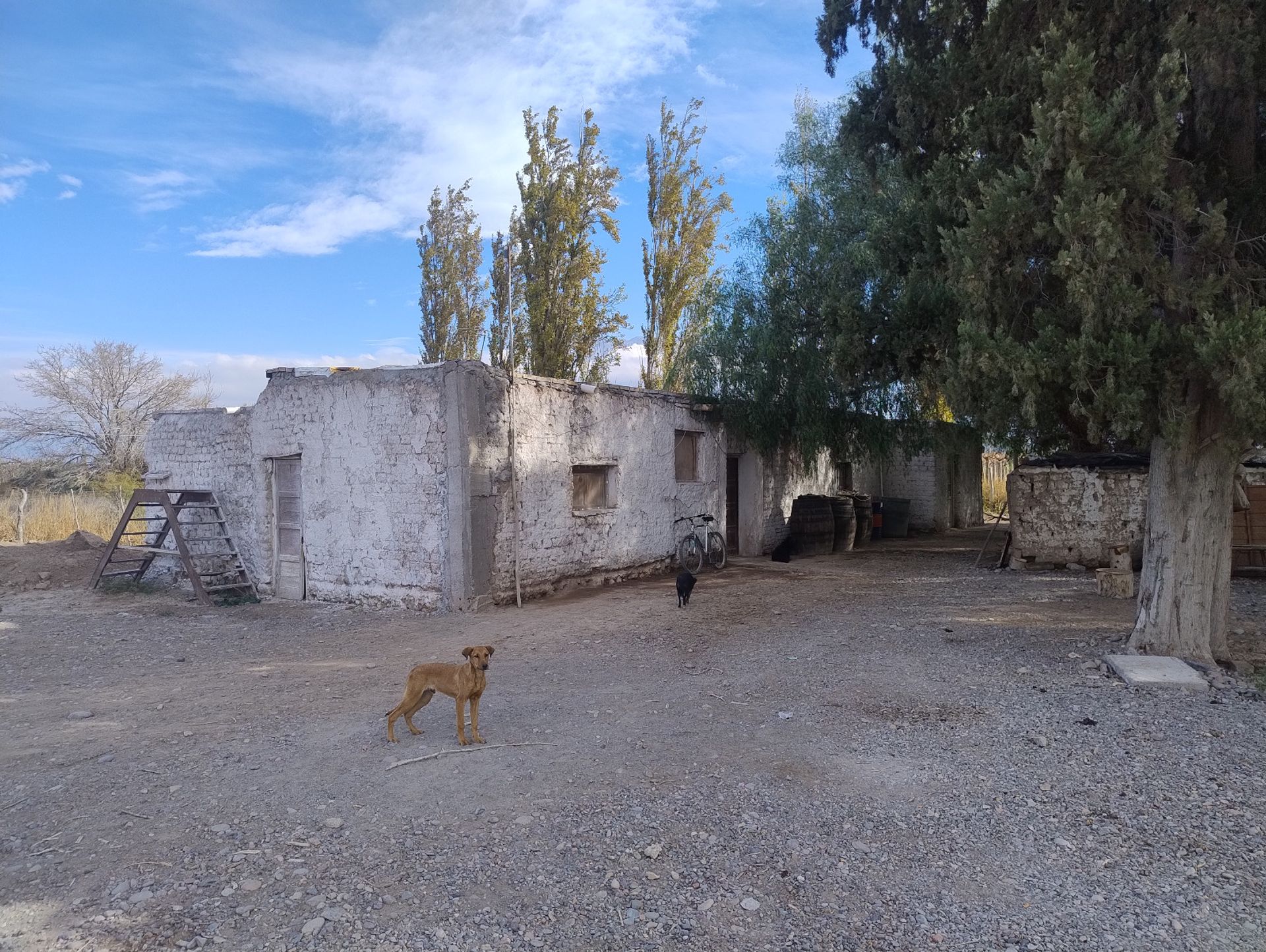 Campo en Venta en Pocito, San Juan