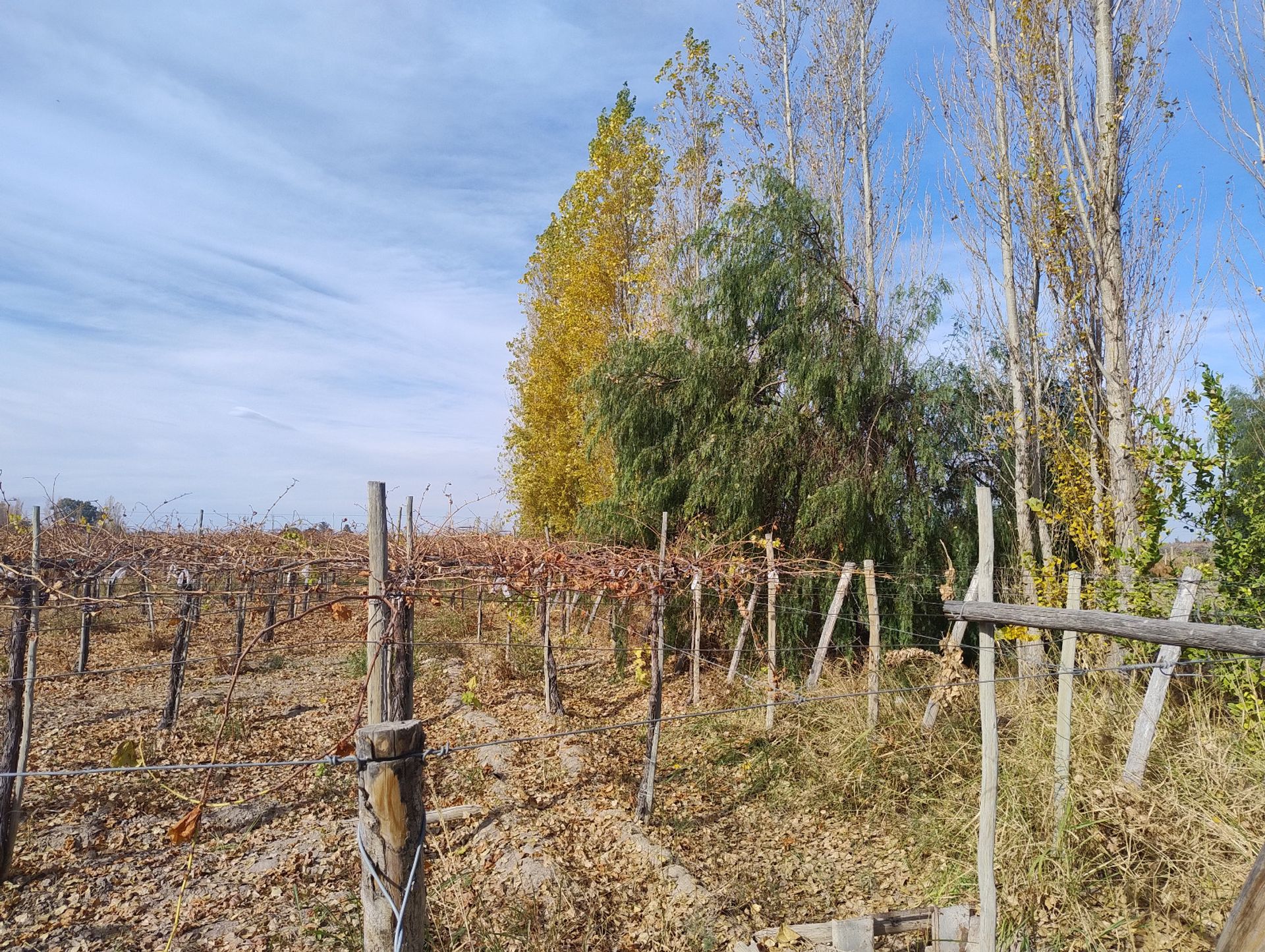 Campo en Venta en Pocito, San Juan