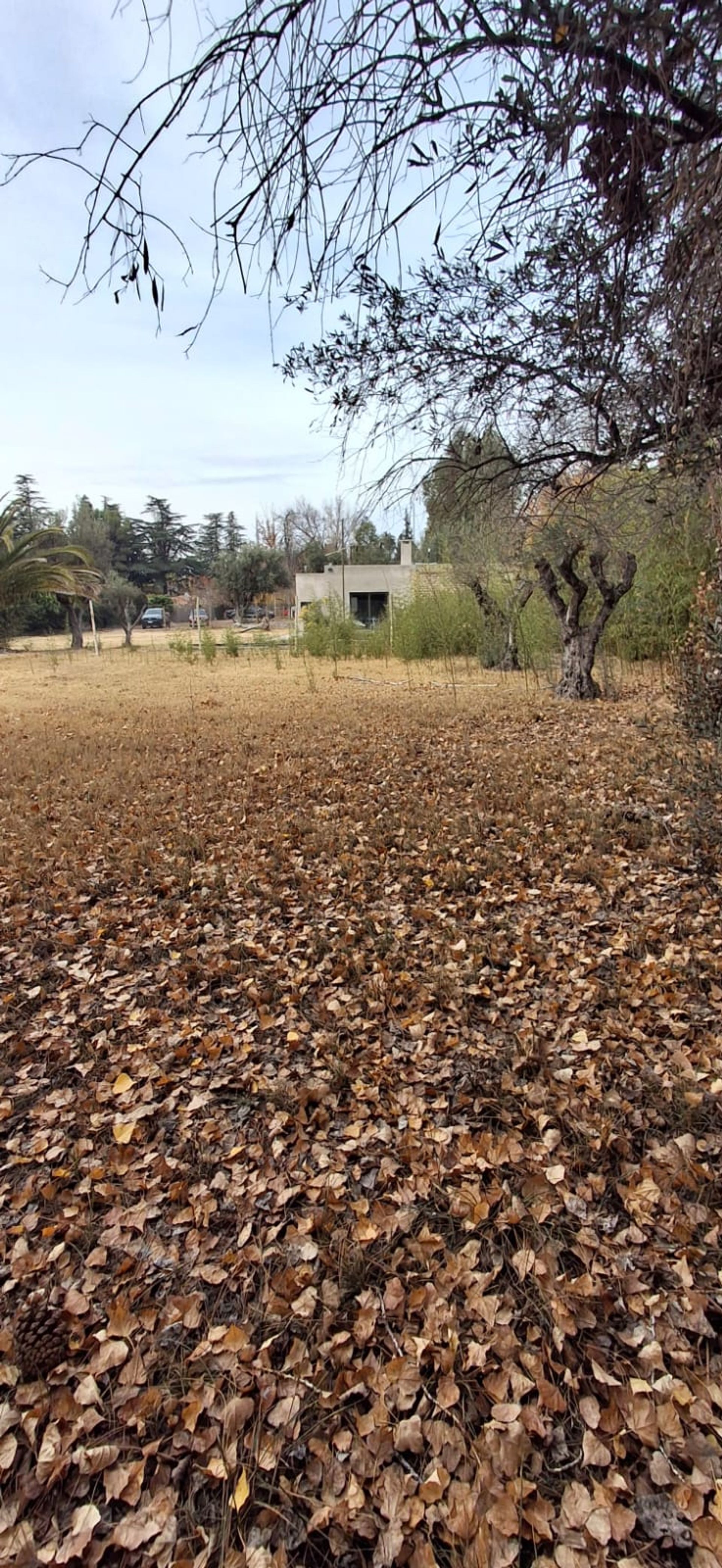 Lote en Venta en Lujan de Cuyo, Mendoza