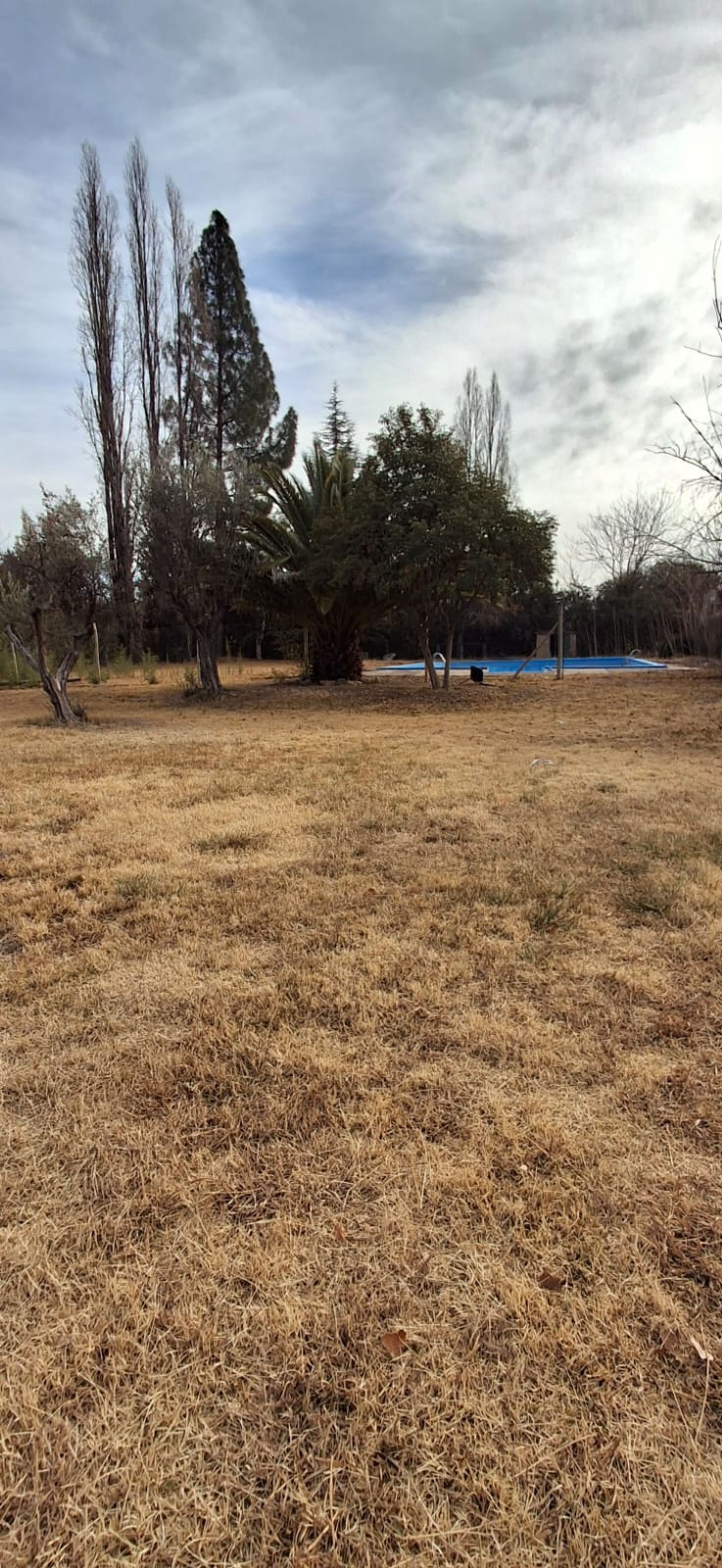Lote en Venta en Lujan de Cuyo, Mendoza