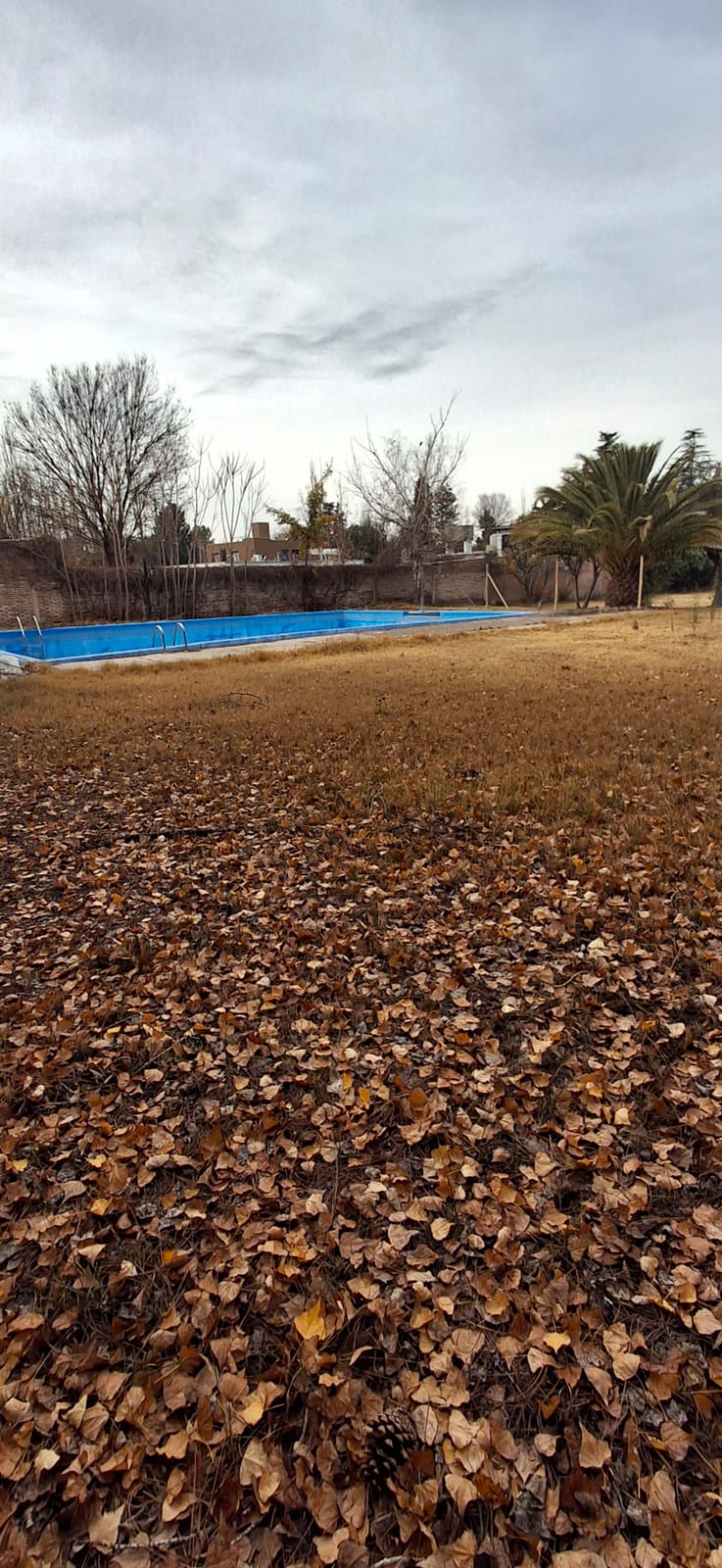 Lote en Venta en Lujan de Cuyo, Mendoza