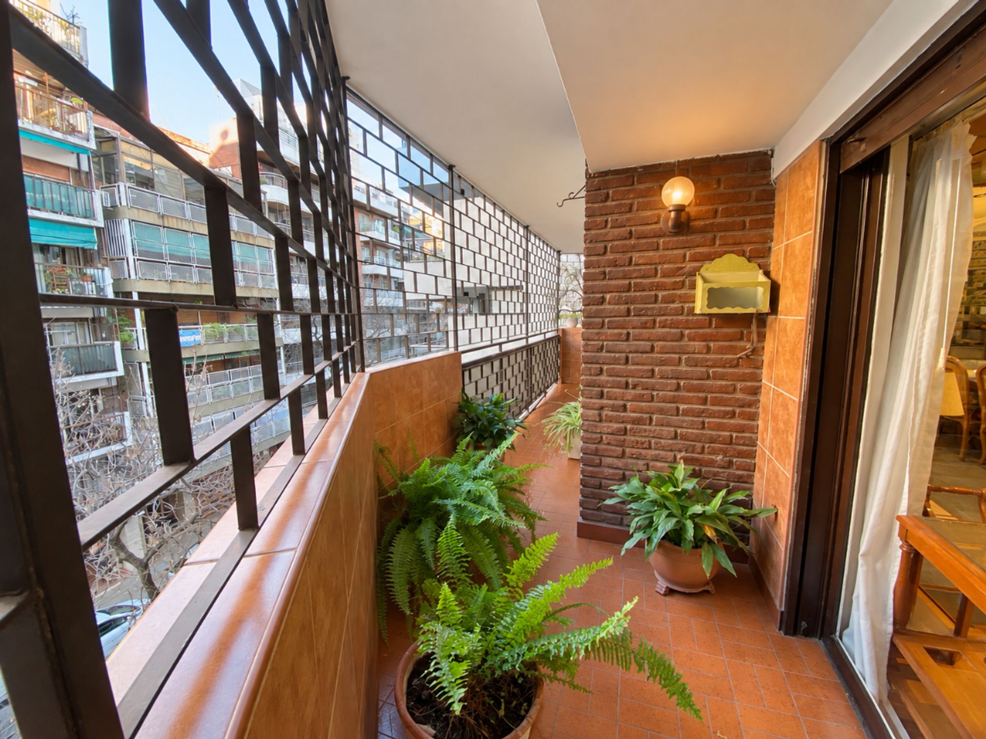 Caballito Viel 300