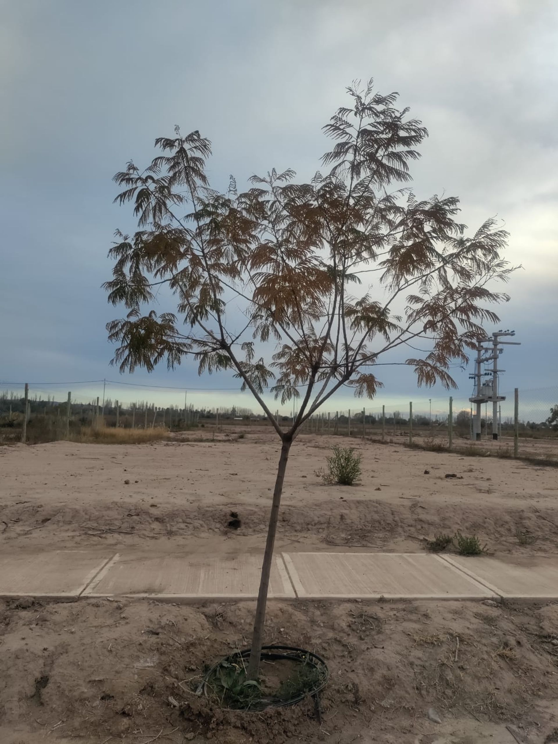 Lote en Venta en Maipu, Mendoza