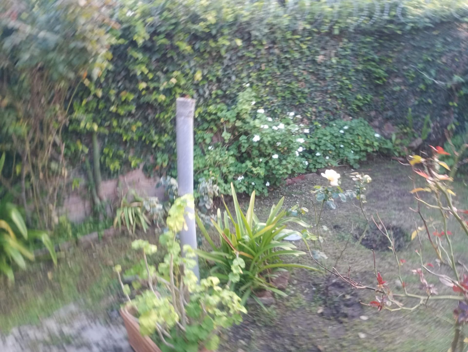 Casa en Venta en Merlo, G.B.A. Zona Oeste