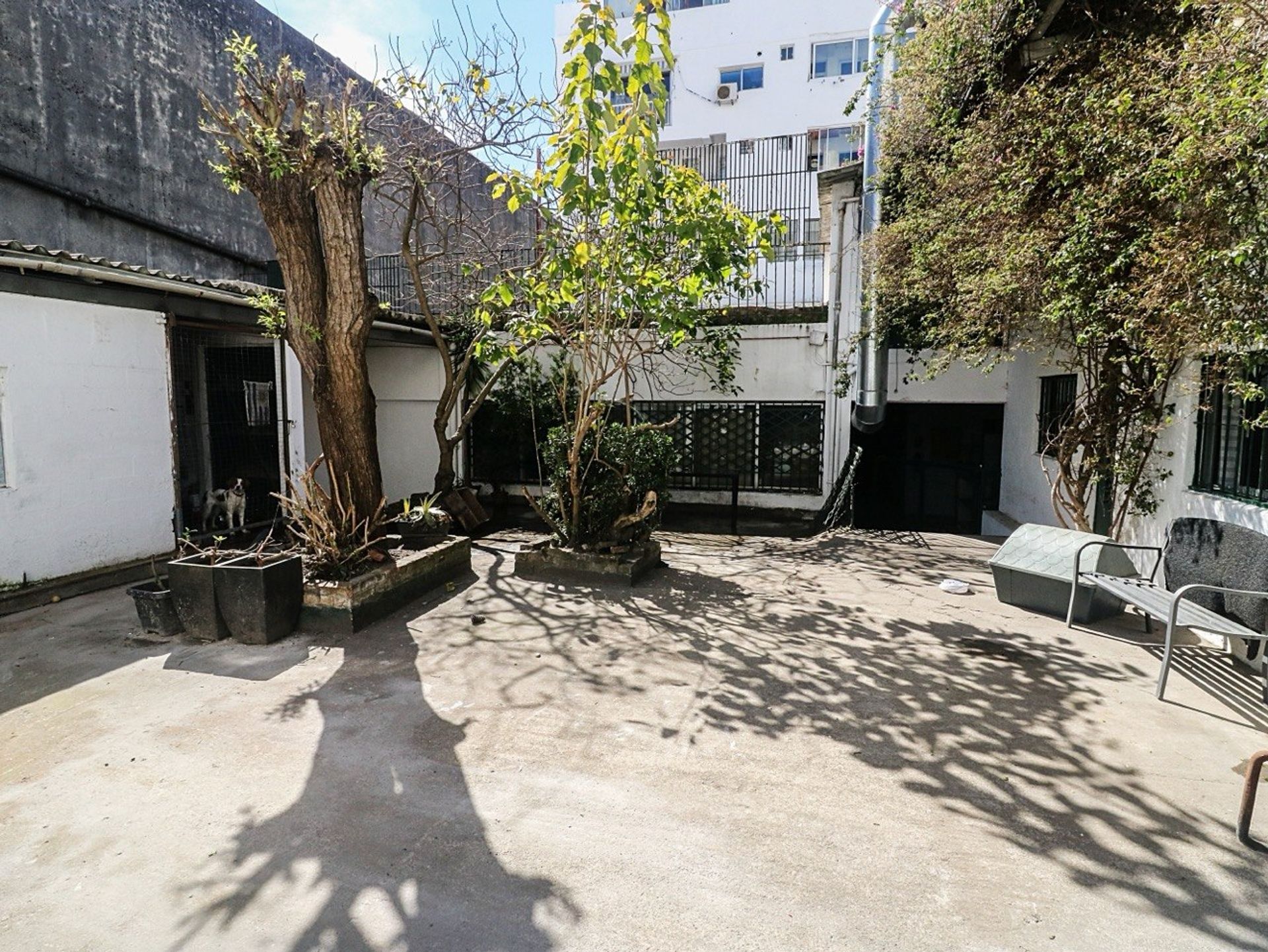 ALQUILER LOCAL/OFICINAS Y GRAN DEPÓSITO, CORDÓN - 16
