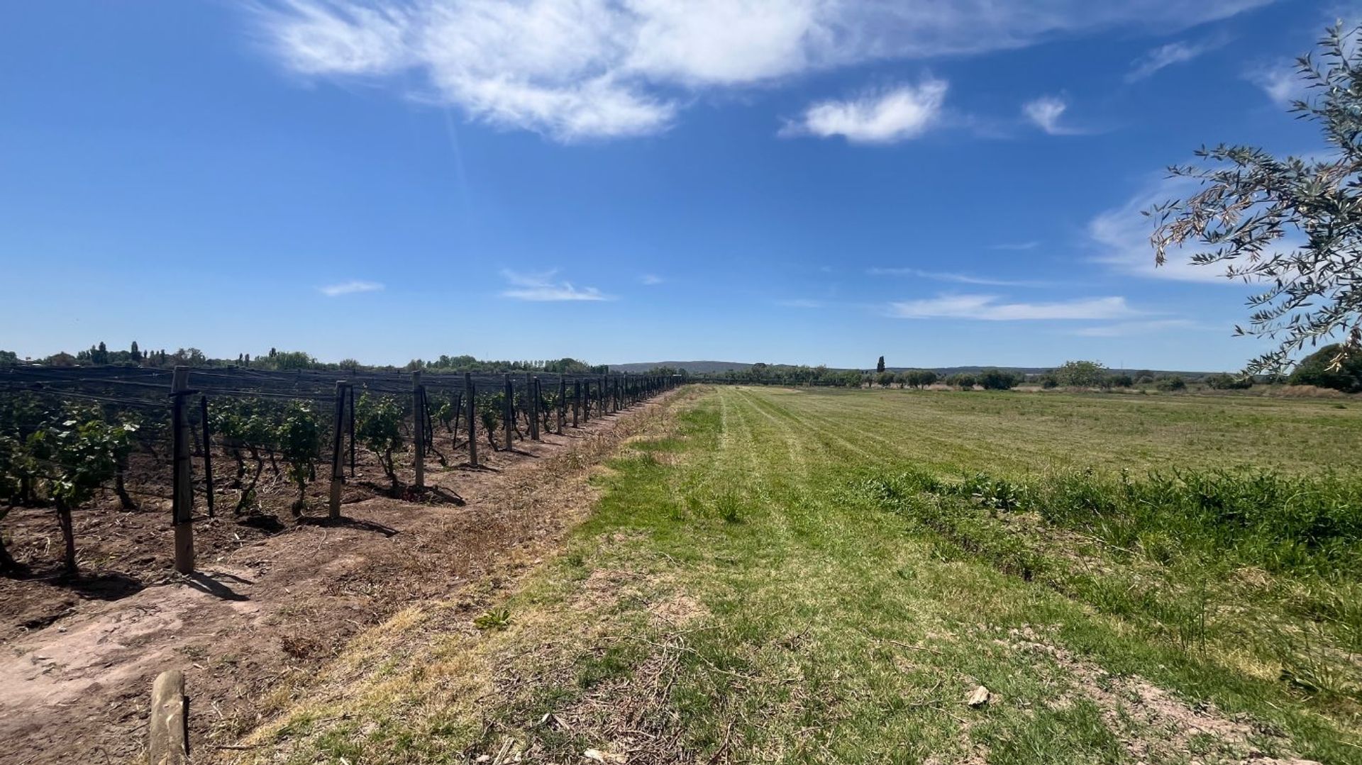 Lote en Venta en Lujan de Cuyo, Mendoza
