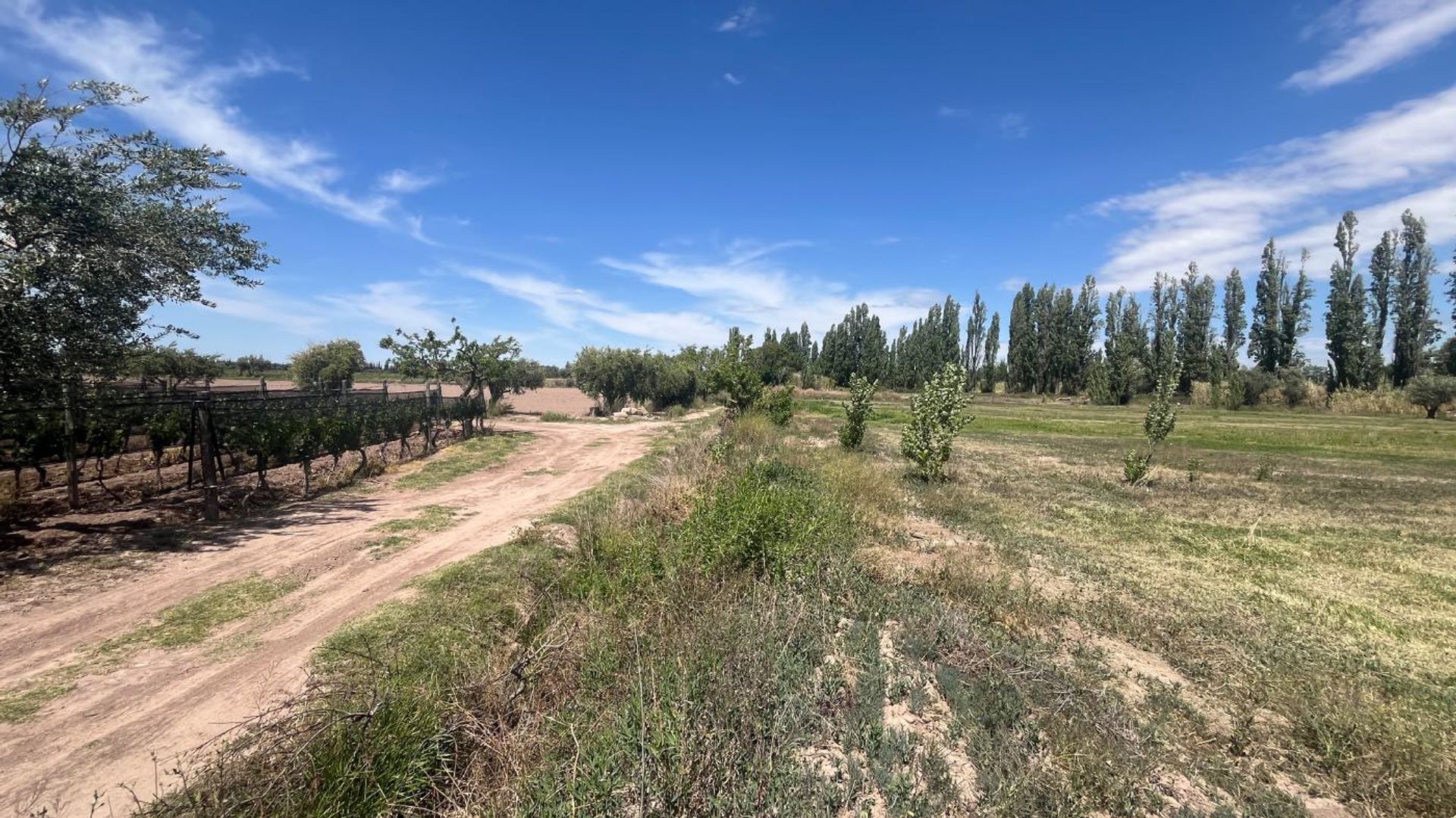 Lote en Venta en Lujan de Cuyo, Mendoza