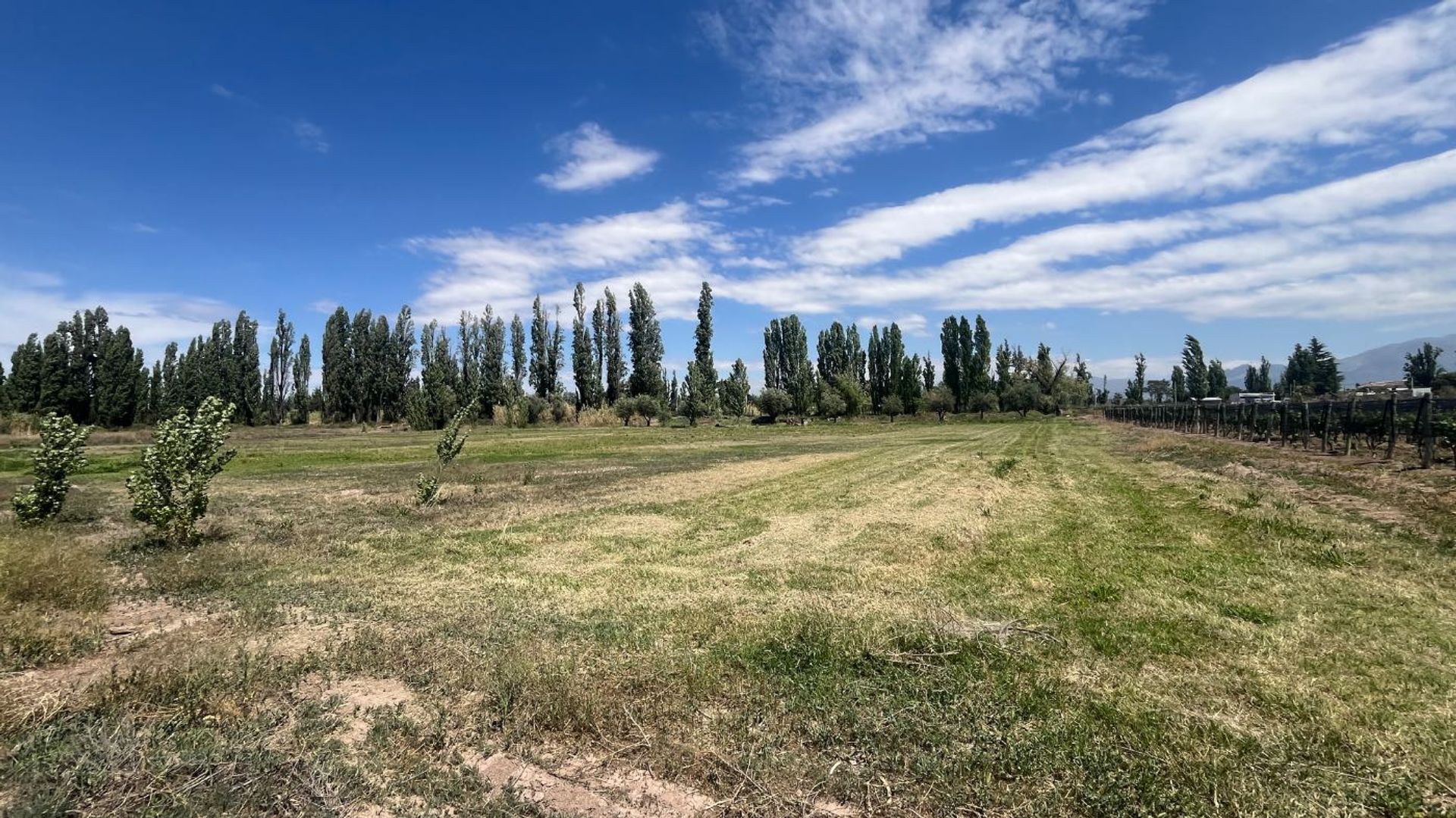 Lote en Venta en Lujan de Cuyo, Mendoza
