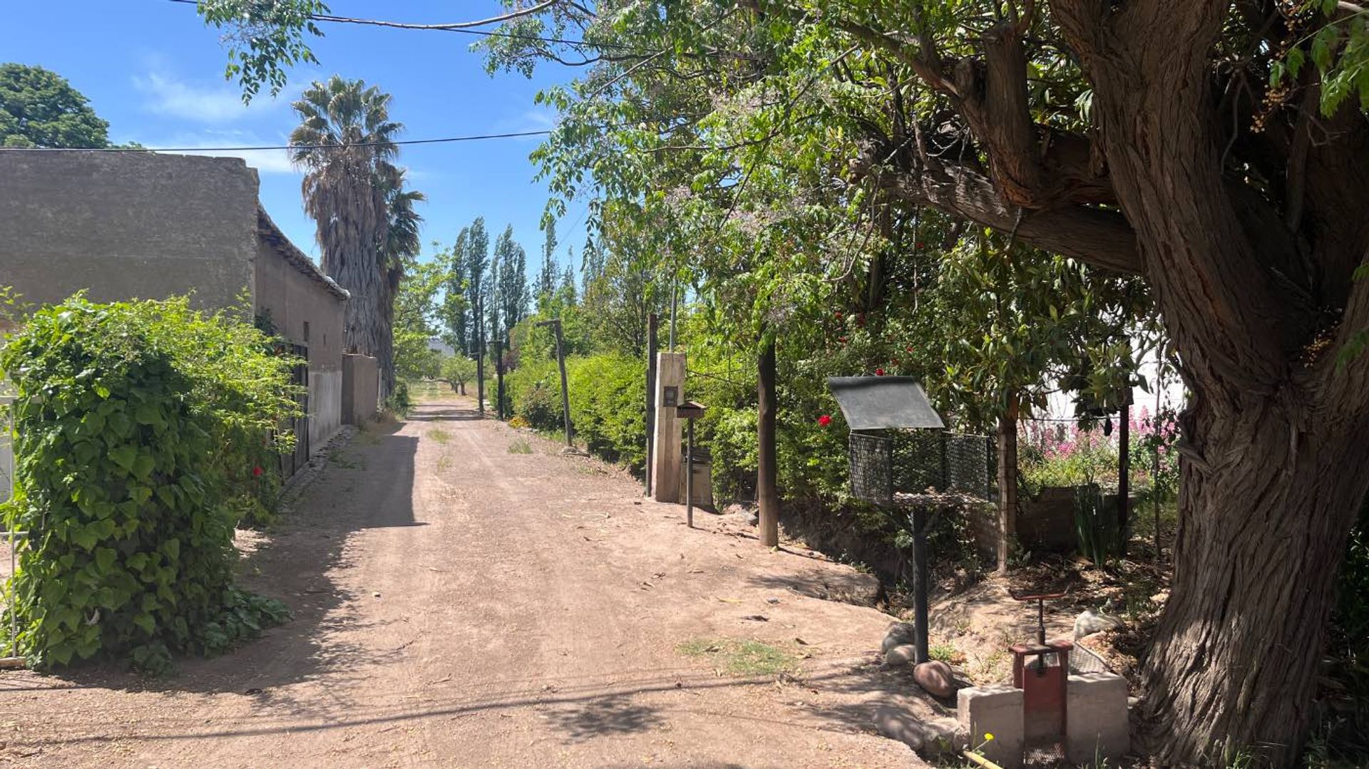 Lote en Venta en Lujan de Cuyo, Mendoza