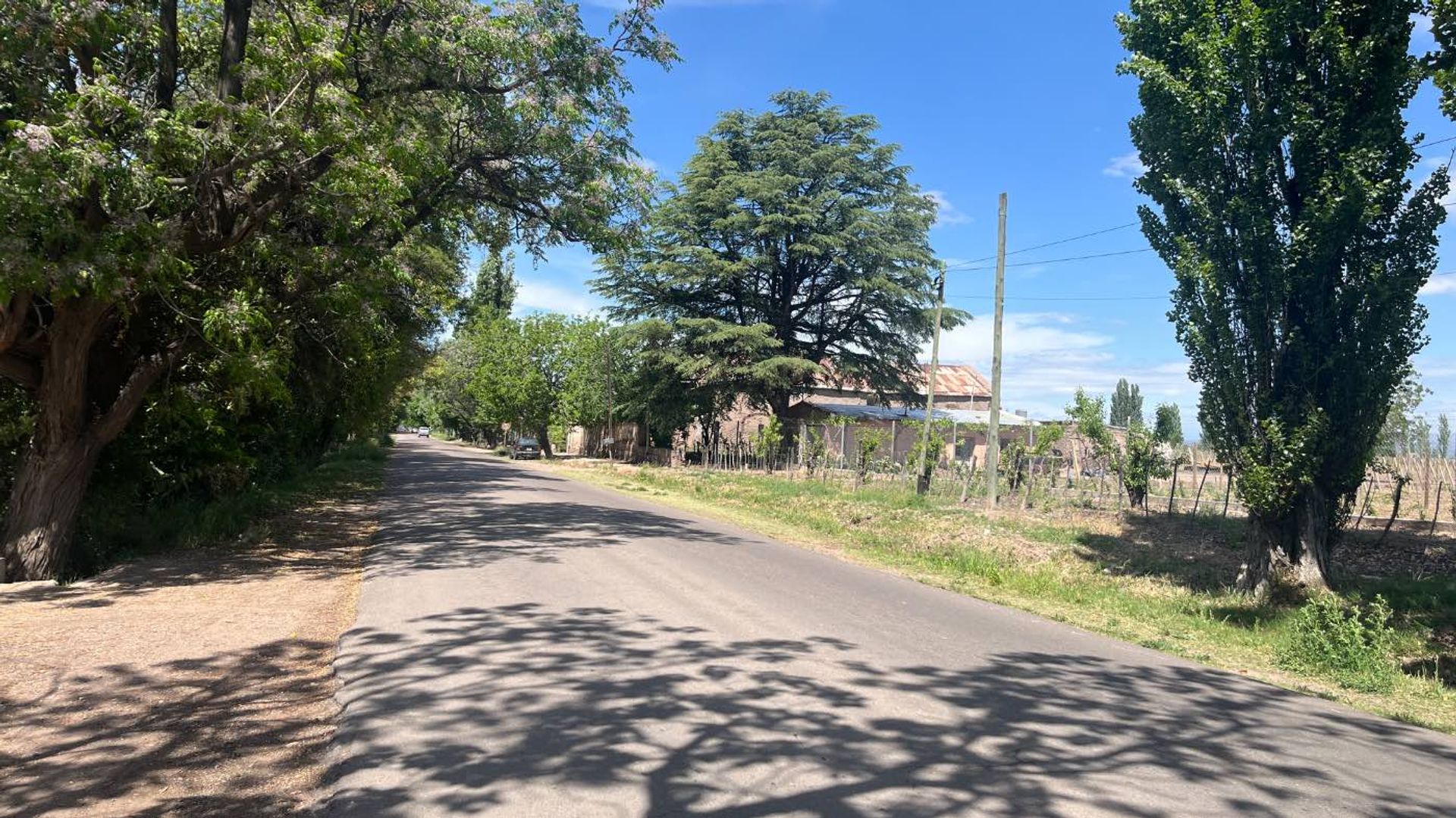 Lote en Venta en Lujan de Cuyo, Mendoza