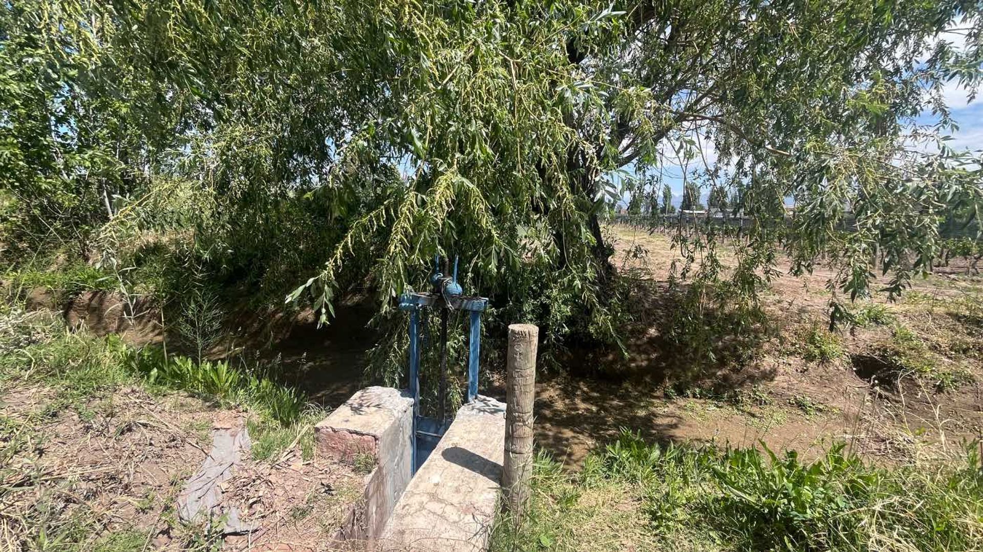Lote en Venta en Lujan de Cuyo, Mendoza