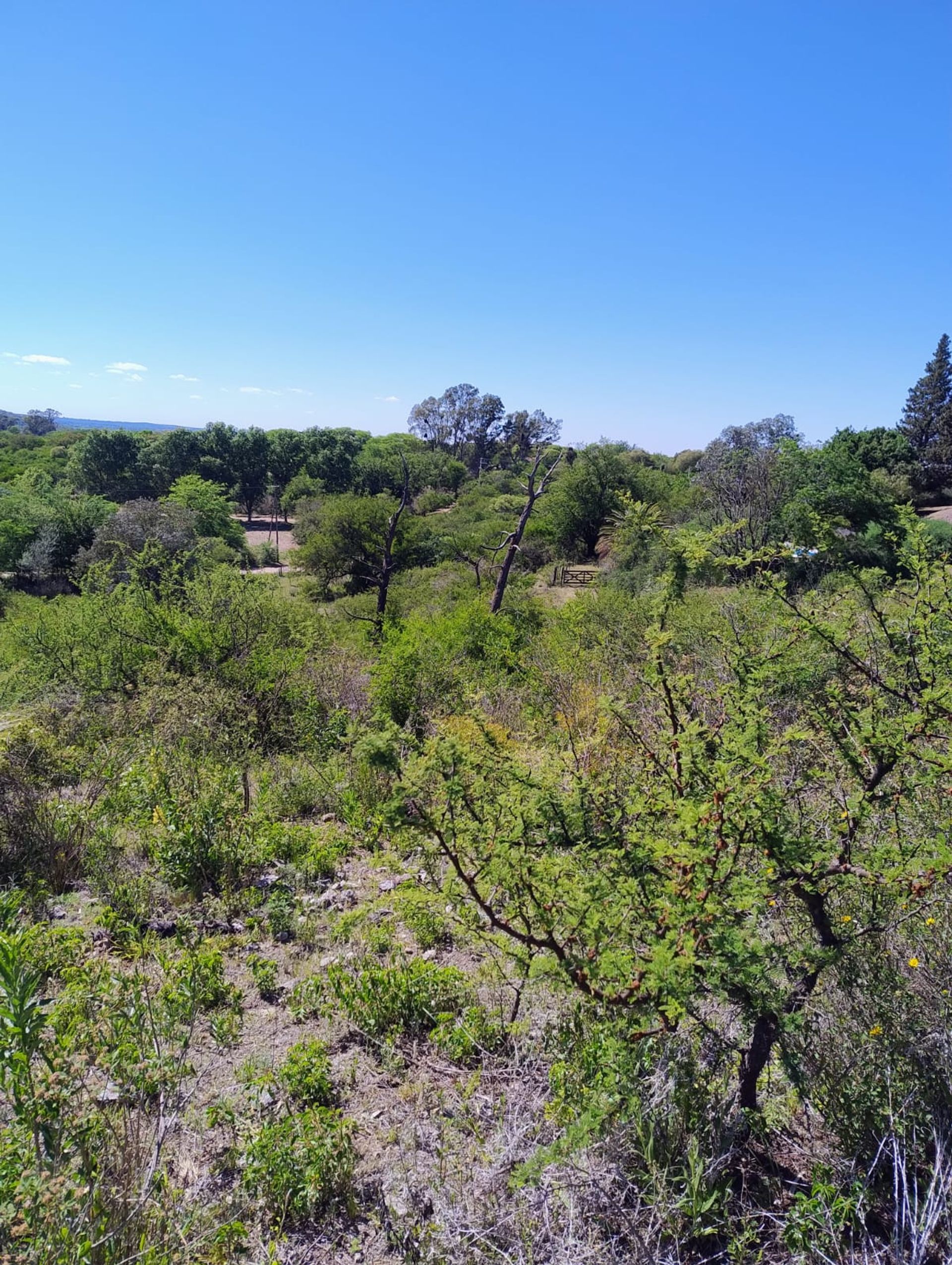 Lote en Venta en Totoral, Cordoba