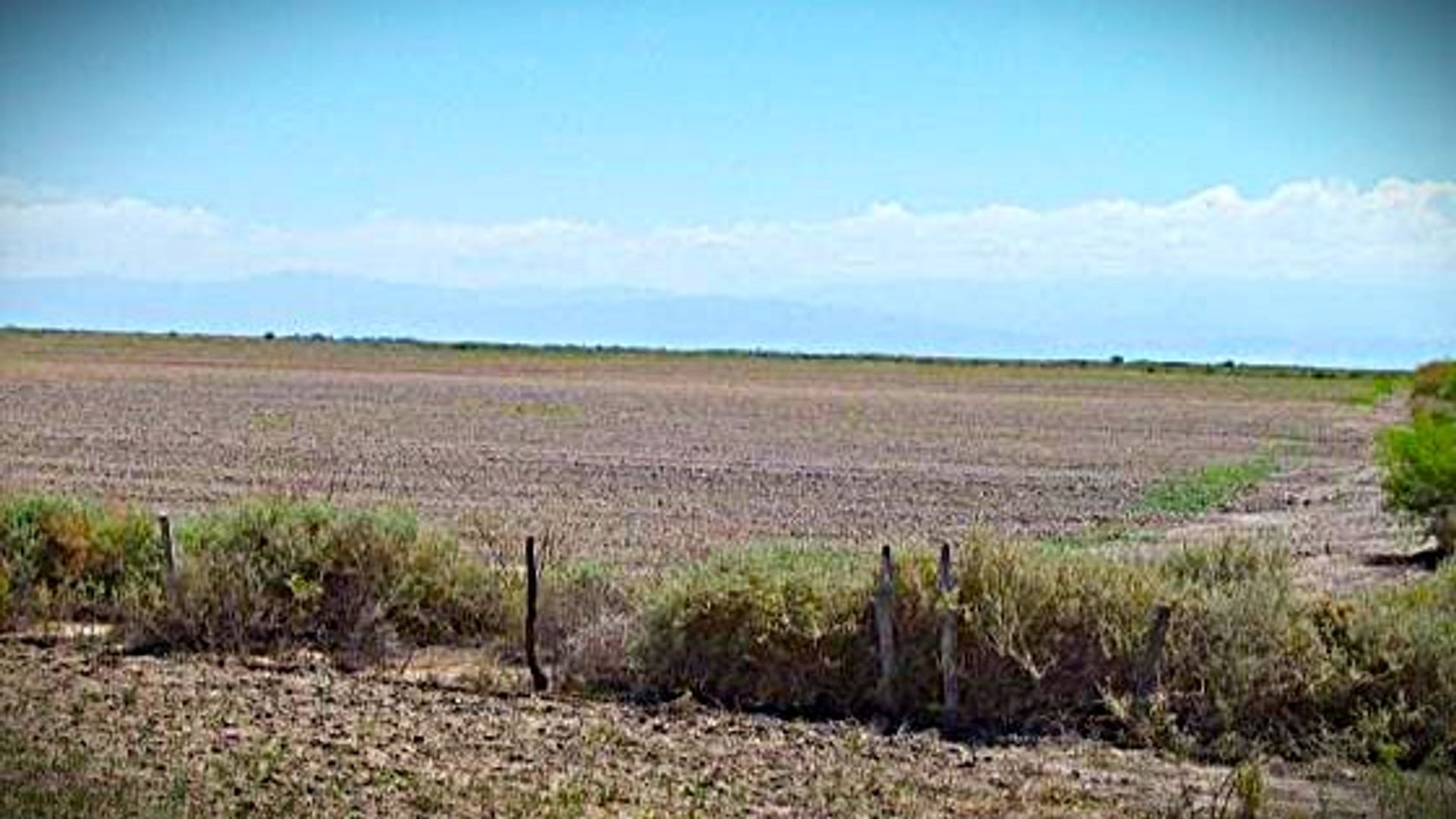 Campo en Venta en 25 de Mayo, San Juan