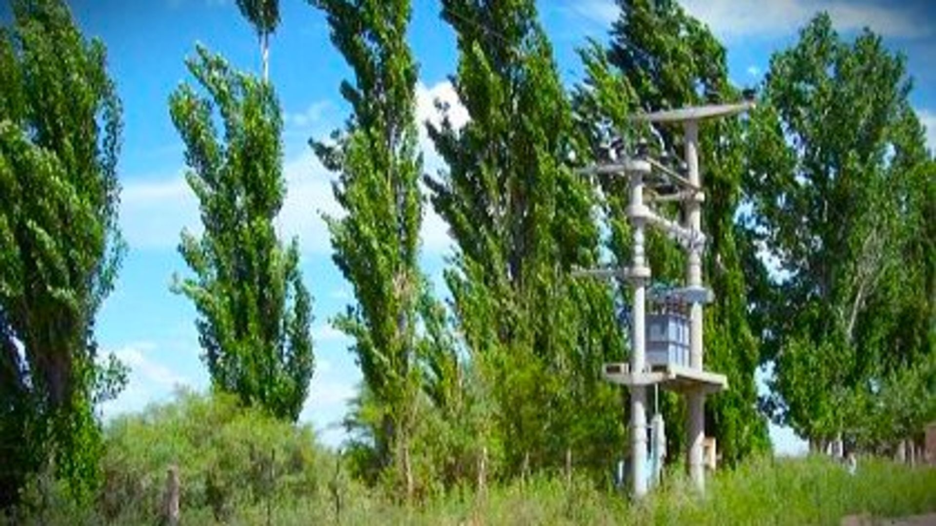 Campo en Venta en 25 de Mayo, San Juan