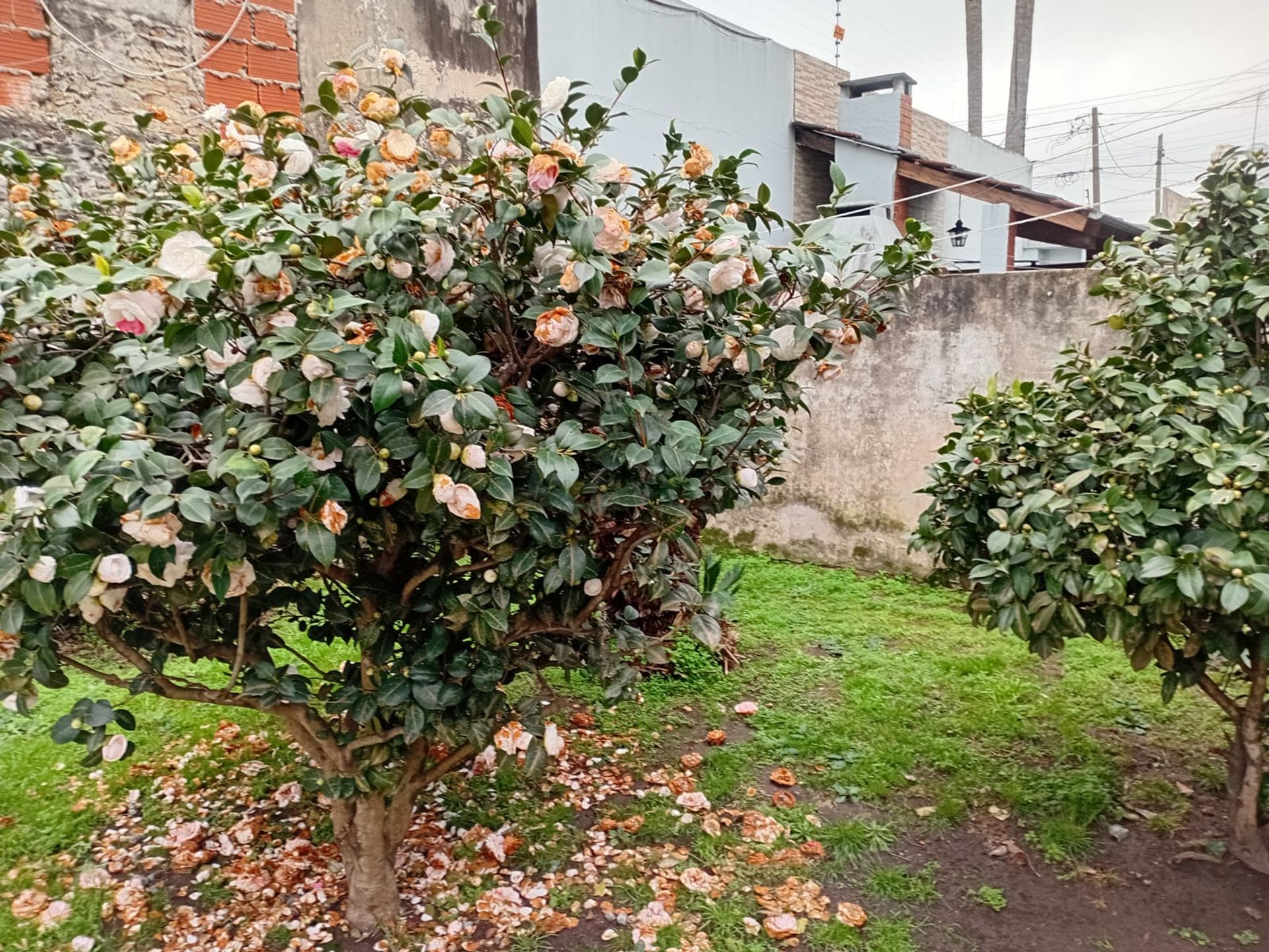 Casa en Venta en La Matanza, G.B.A. Zona Oeste