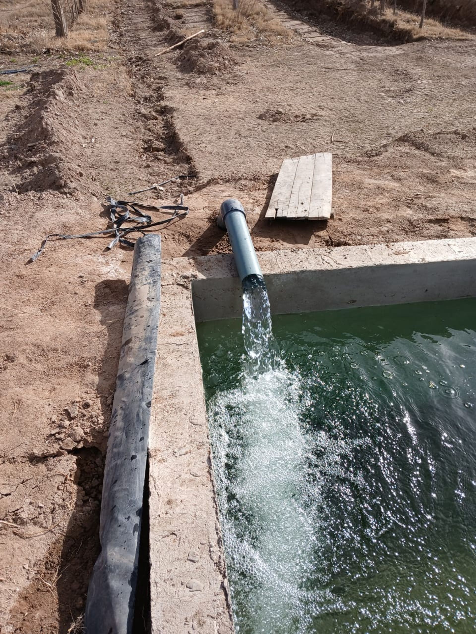 Campo en Venta en Tunuyan, Mendoza