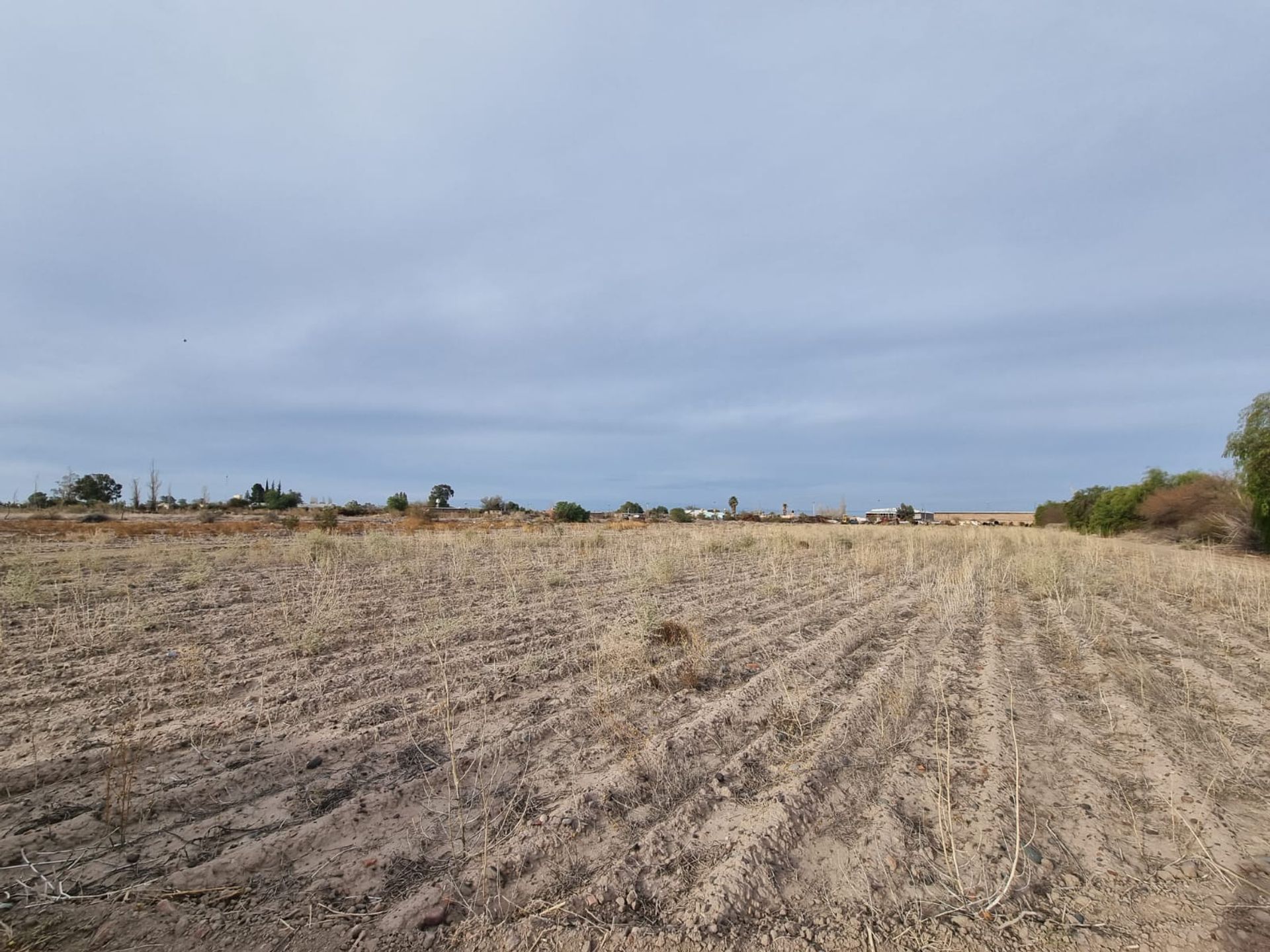 Campo en Venta en Pocito, San Juan
