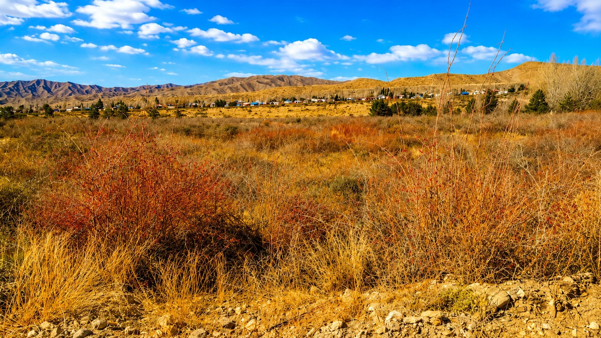Lote en Venta en Lujan de Cuyo, Mendoza
